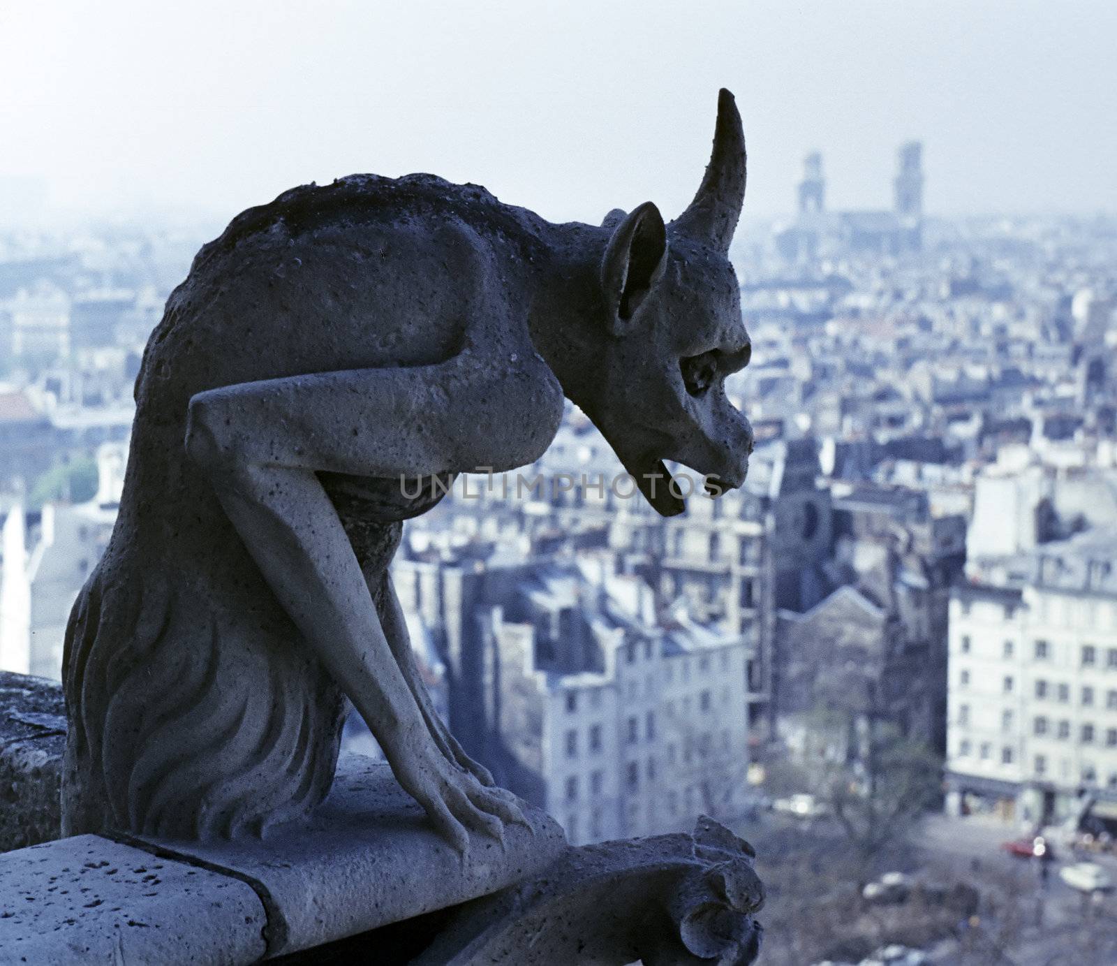 Gargoyle overlooking Paris by steheap