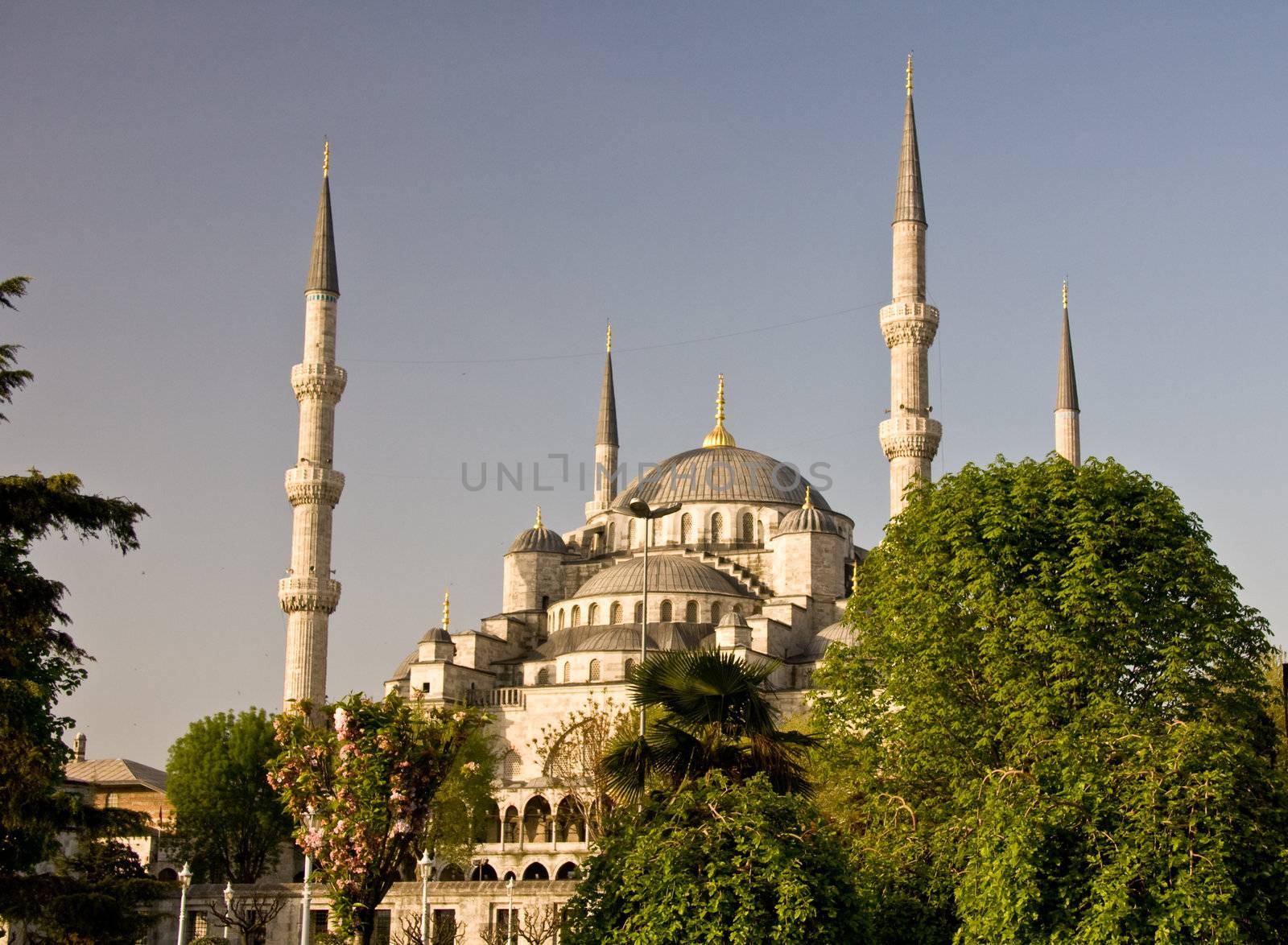 Stacked domes of the Blue Mosque in Istanbul Turkey
