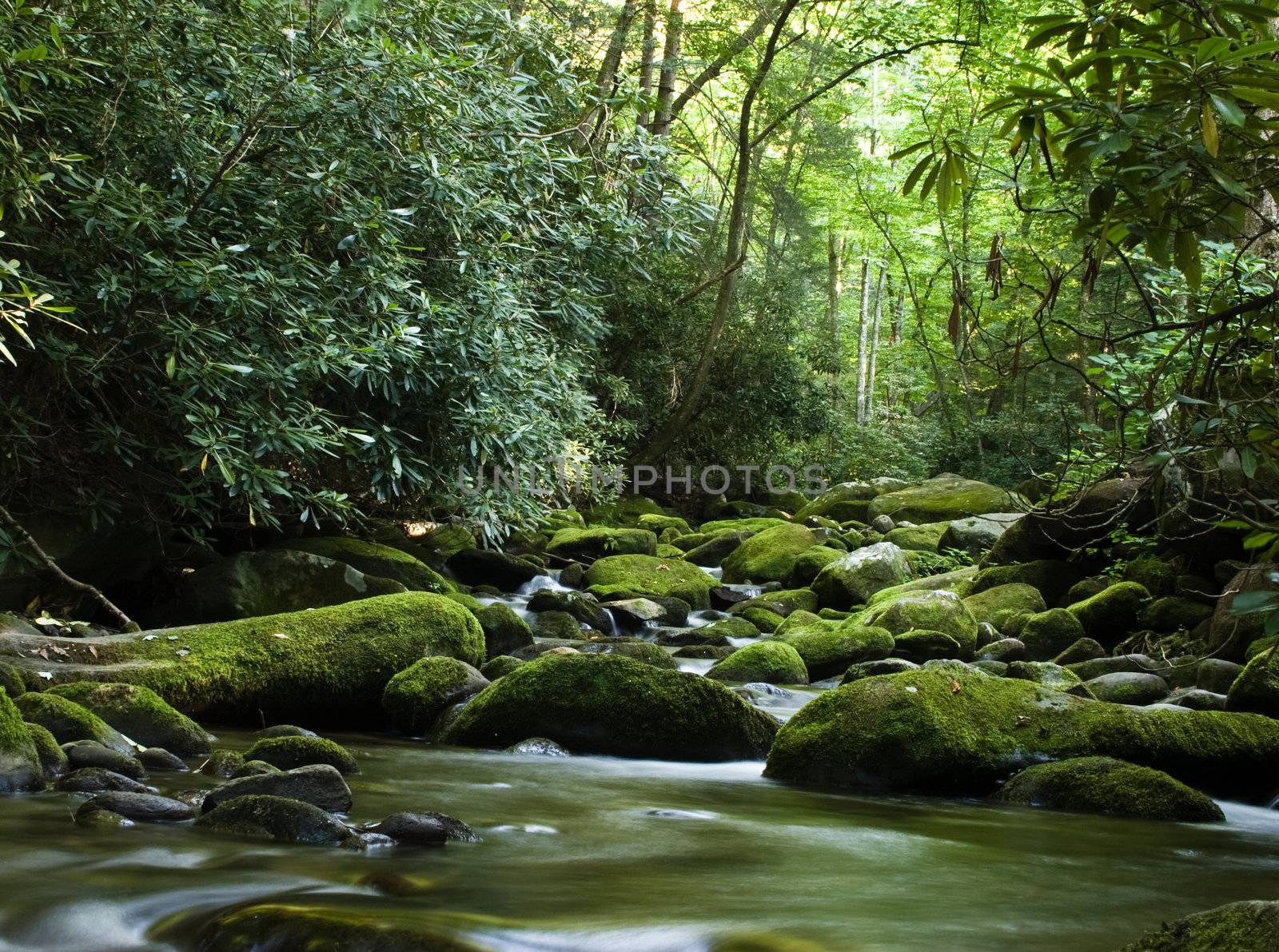 Peaceful river flowing over rocks by steheap