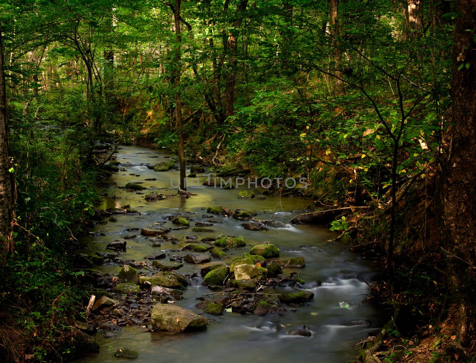 A small creek taken with long exposure trickles through a wooded forest