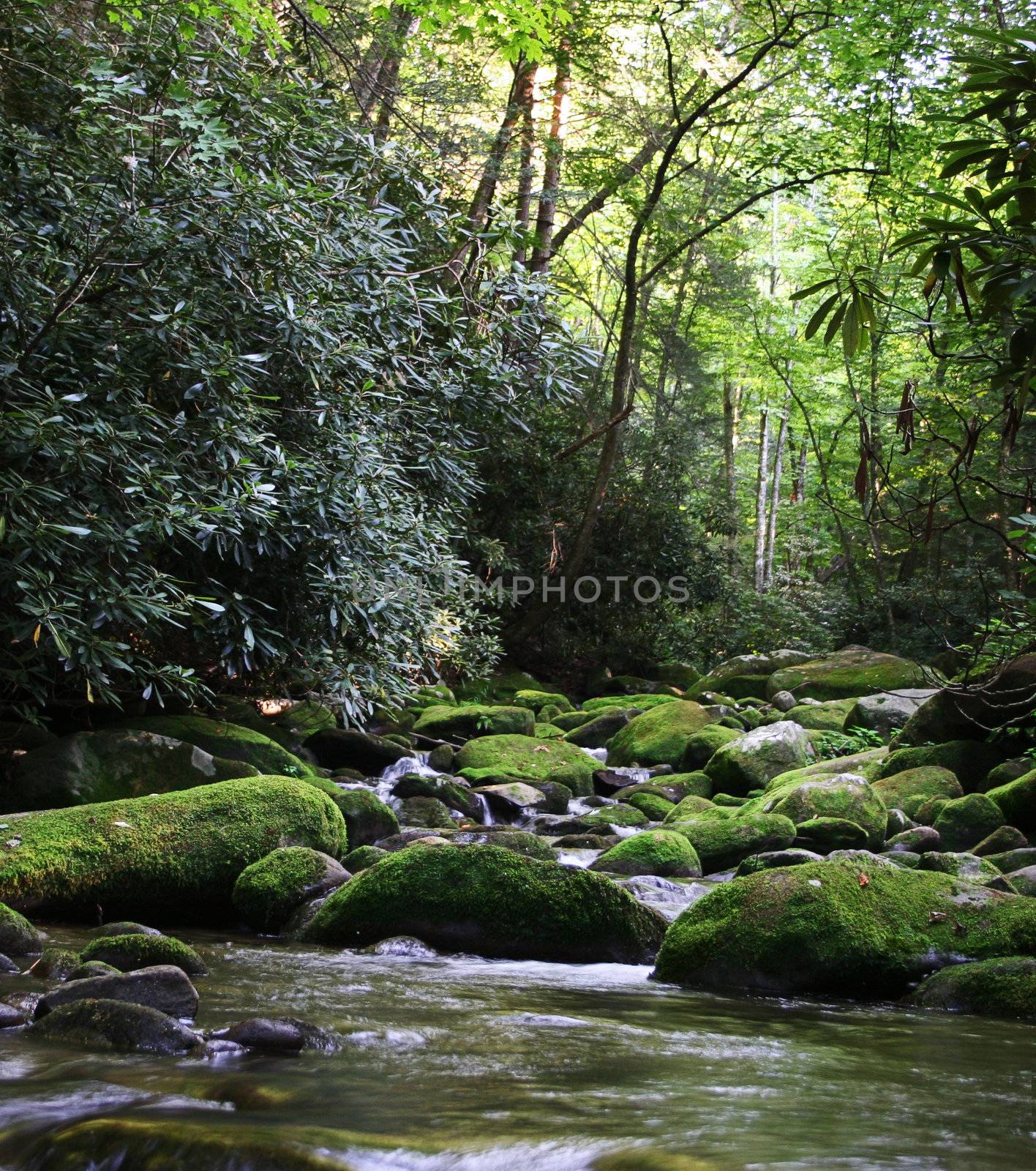Rural River with Mossy Rocks by steheap