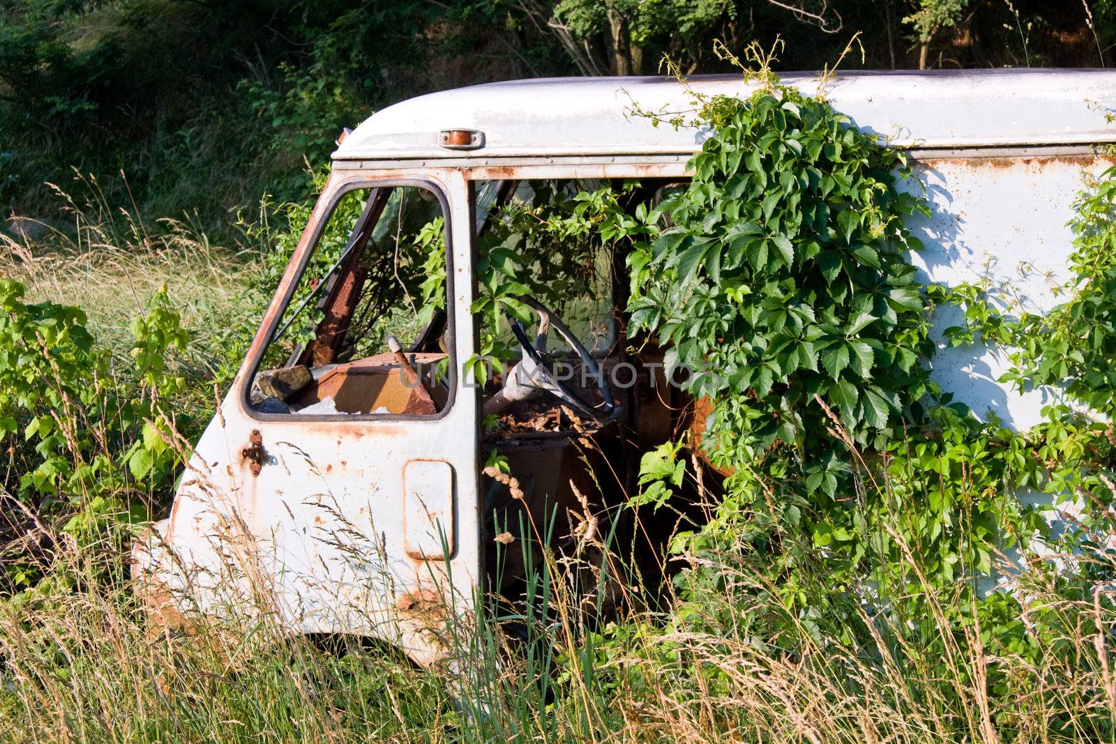 Close up of the cab of a rusty van left in deep grass in a wooden thicket