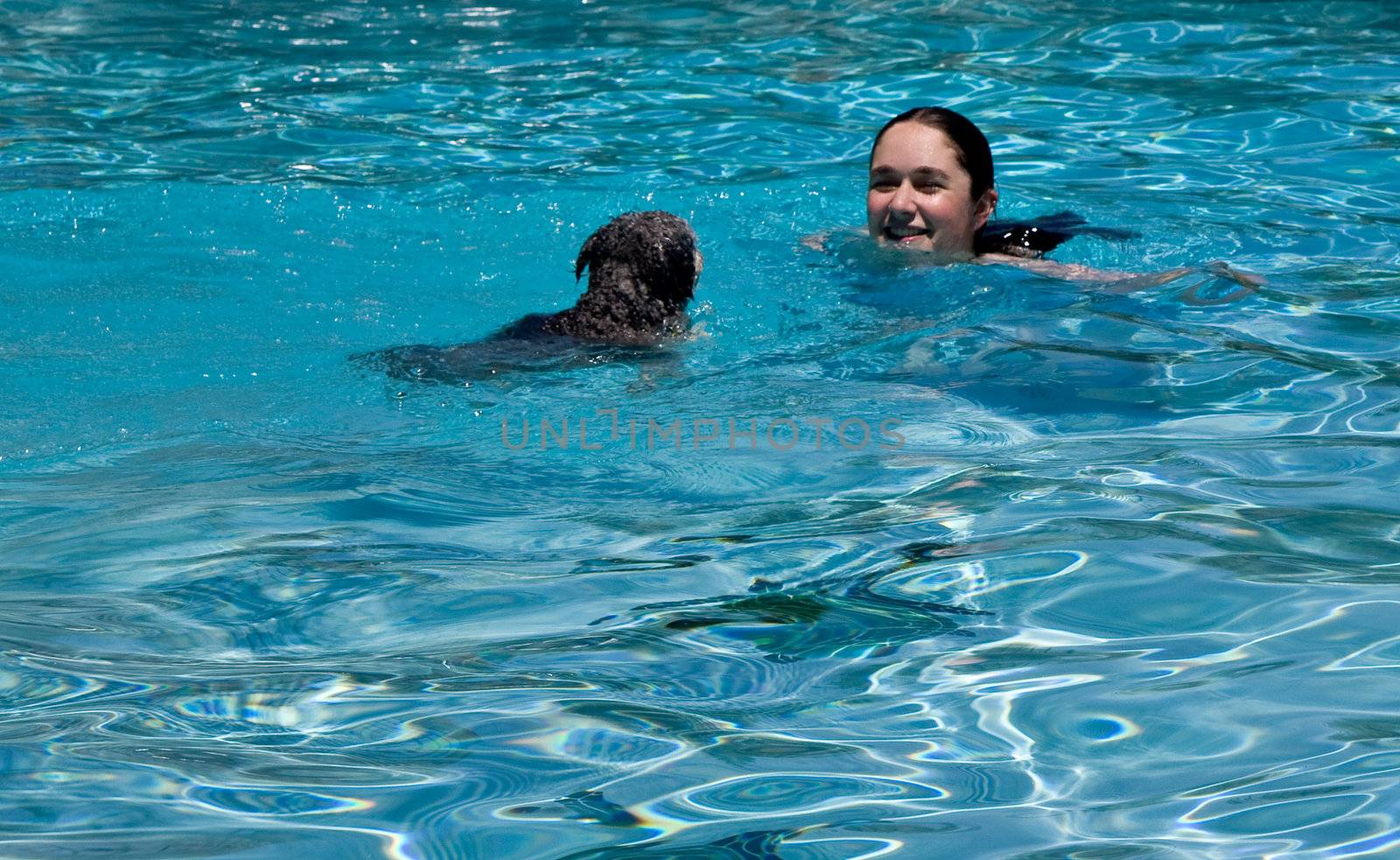 Small puppy swimming in blue pool to girl