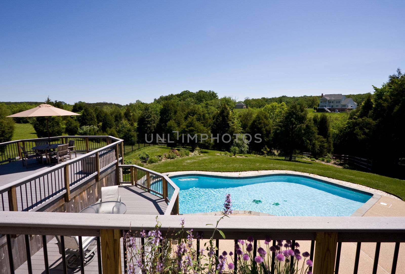 Modern deck and swimming pool in expansive landscaped garden