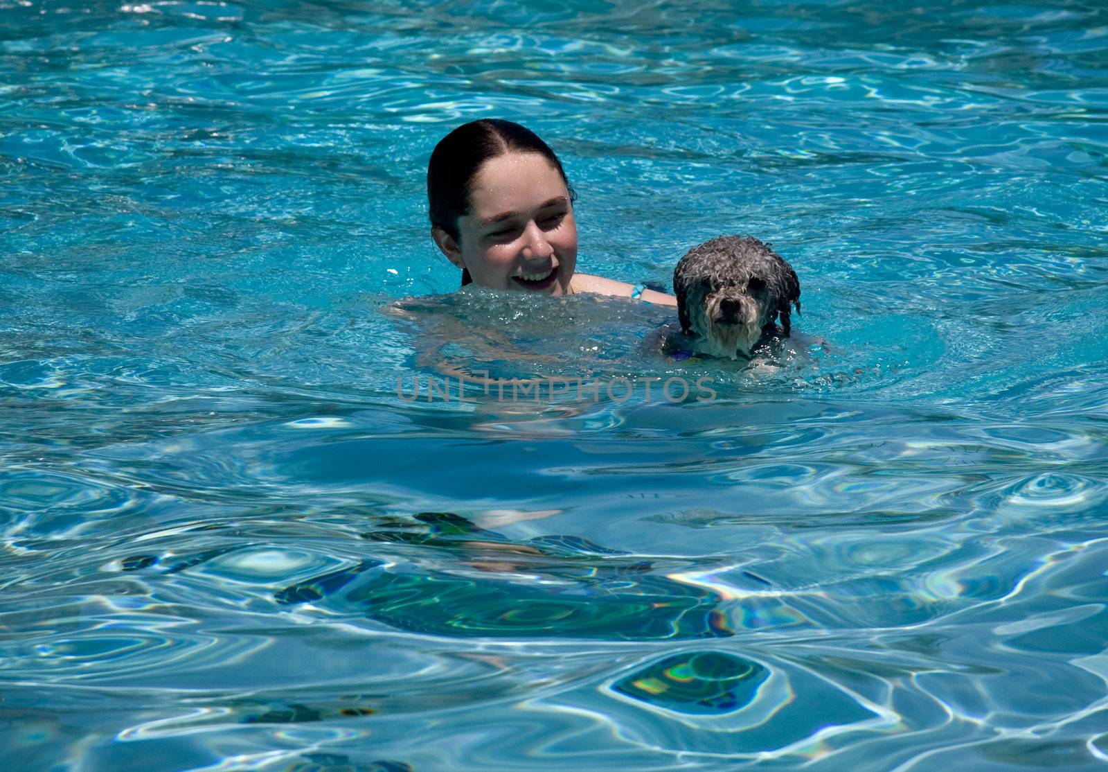 Girl and small puppy swimming in a blue swimming pool