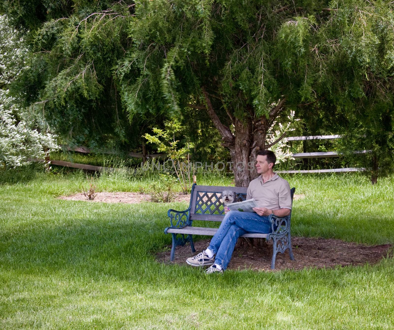 Middle aged man and a small puppy relax with a newspaper under a shady tree