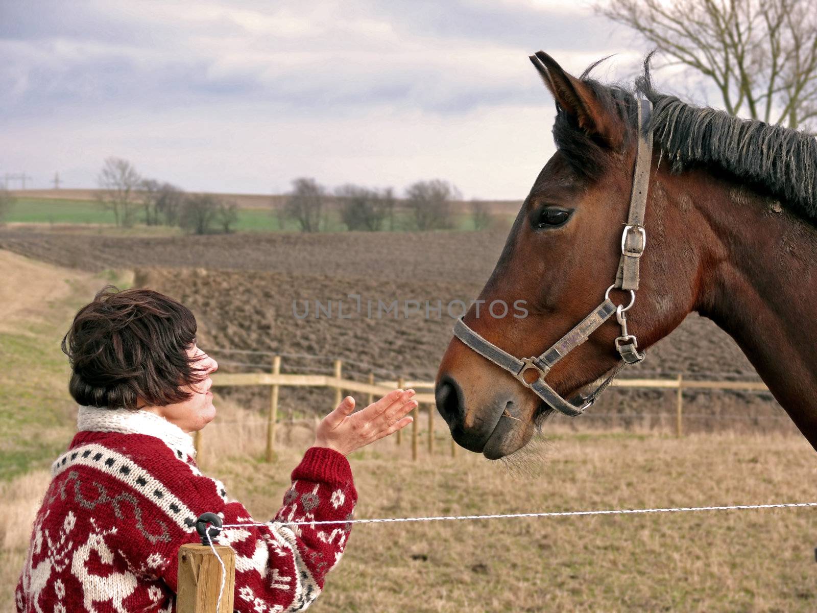 portrait of woman talking to horse