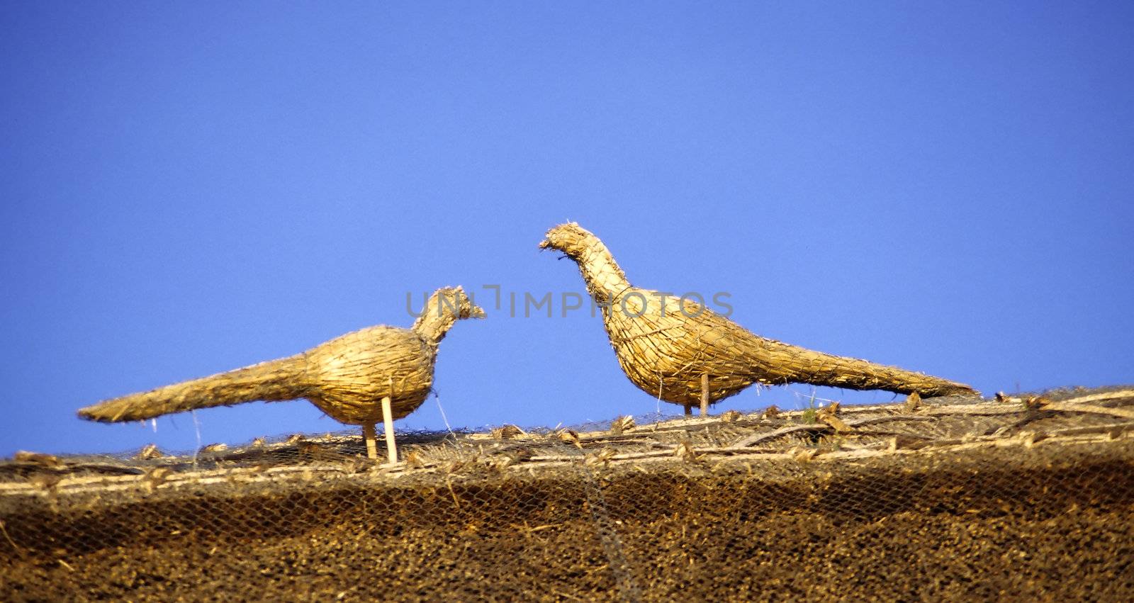 Detail of two thatched birds on the roof of an old cottage in England