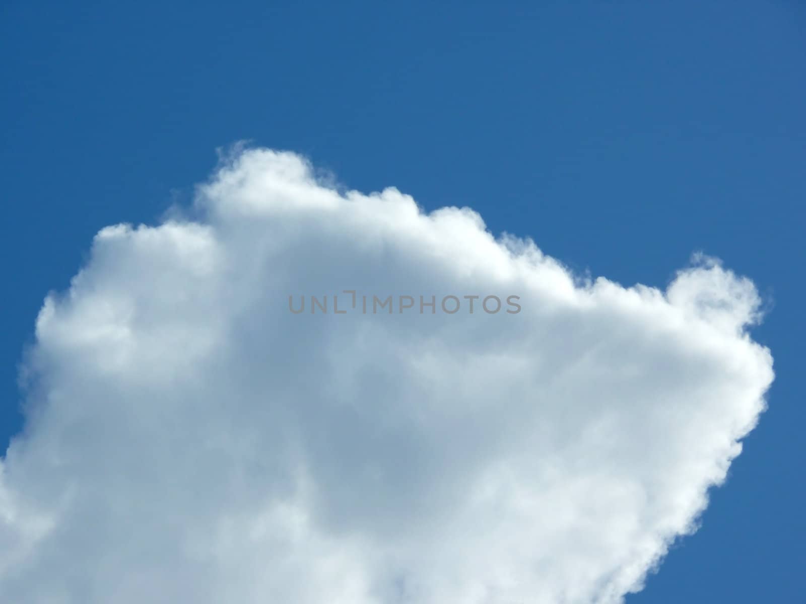portrait of big nice cloud in blue background