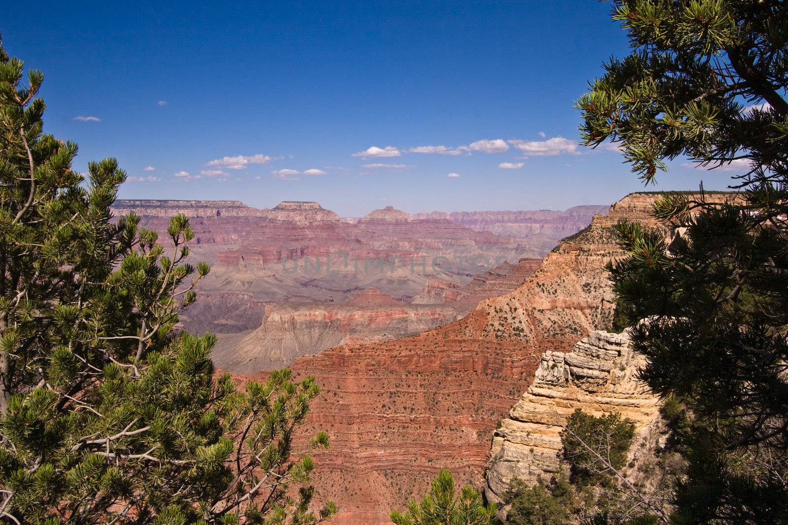 Overview of a Grand Canyon valley framed by trees
