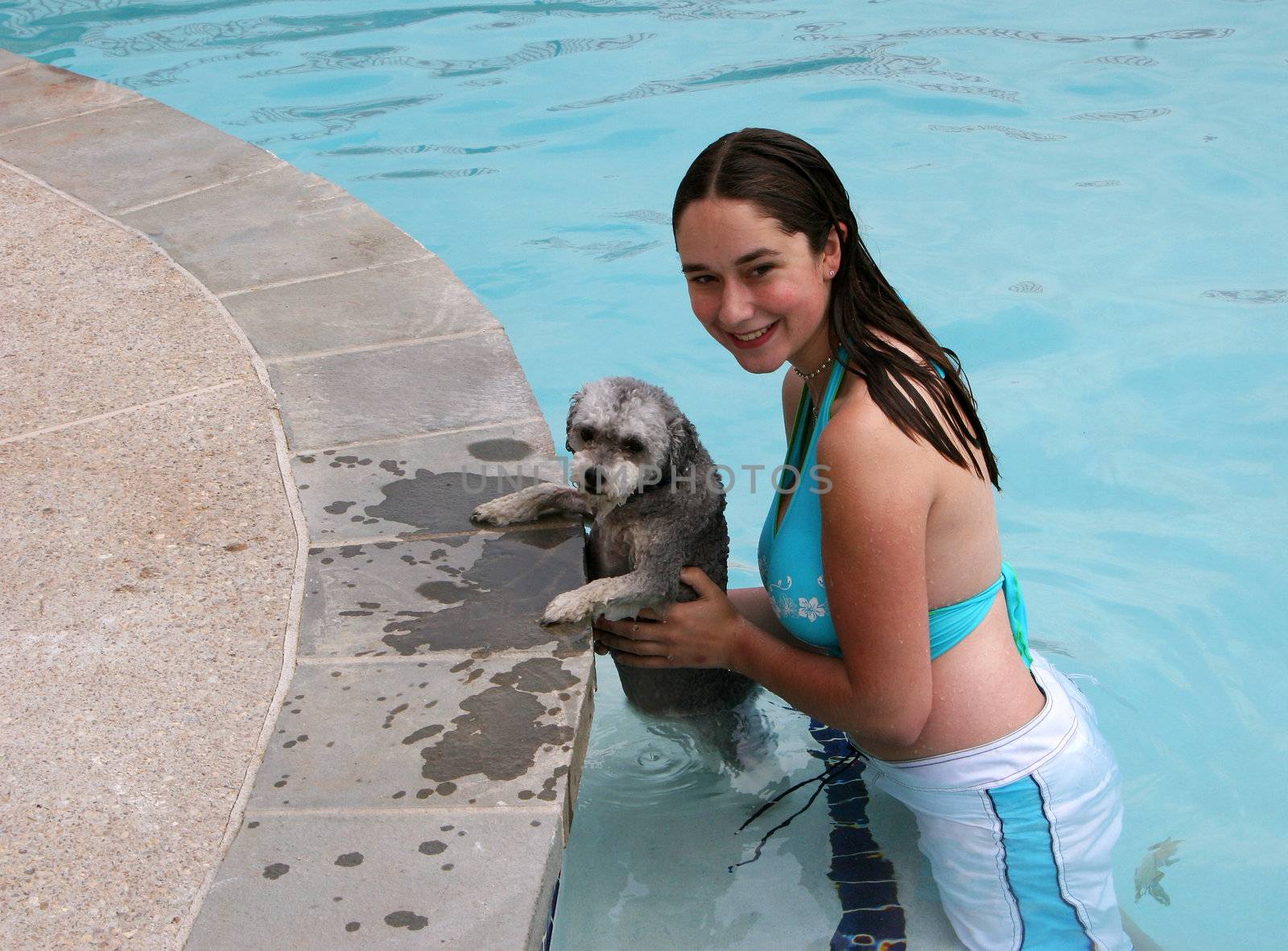 Young girl and small puppy in swimming pool and looking at camera