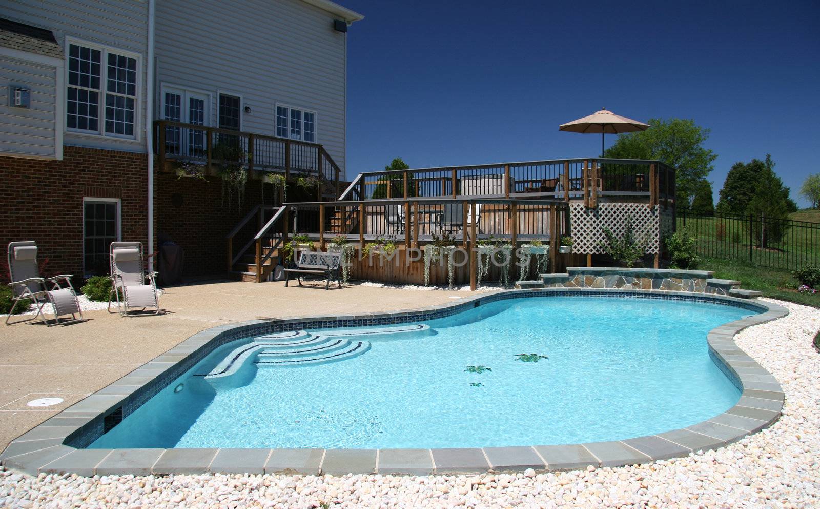Backyard pool in rear of modern house in suburbs