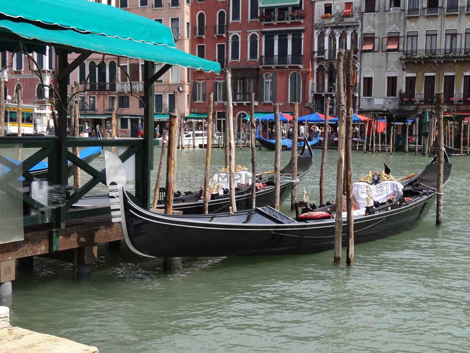 gondolas on grand canal in Venice