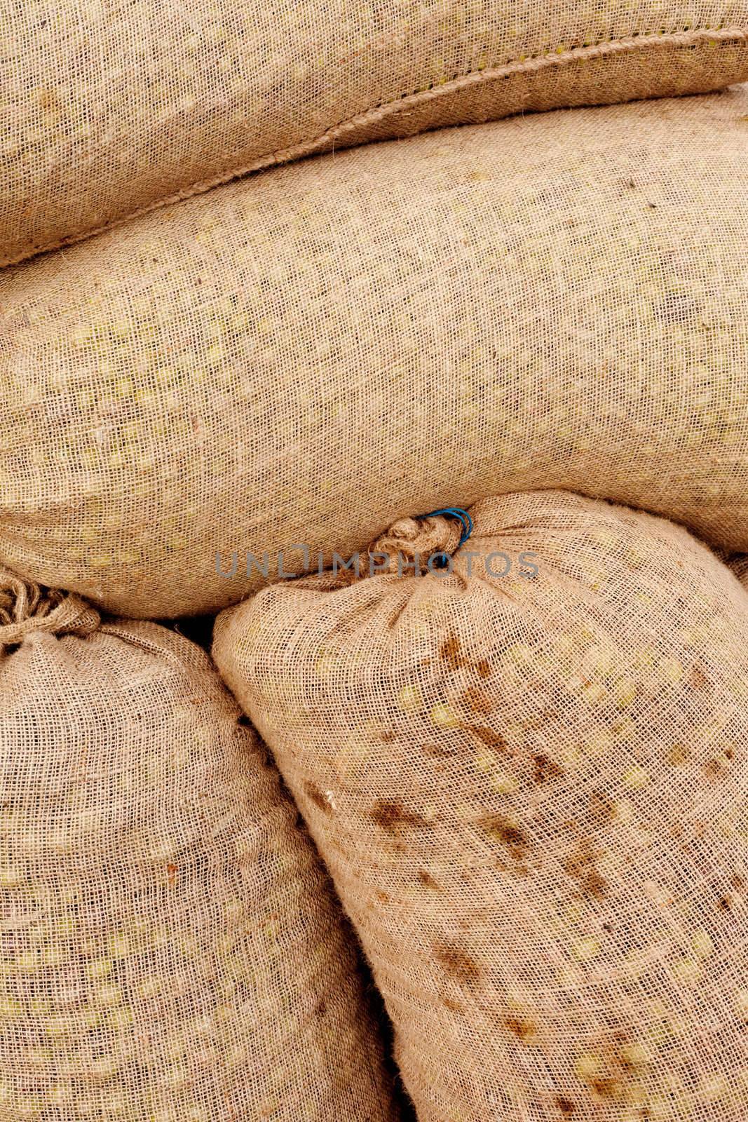 Background texture pattern of sacks filled with freshly harvested olives.