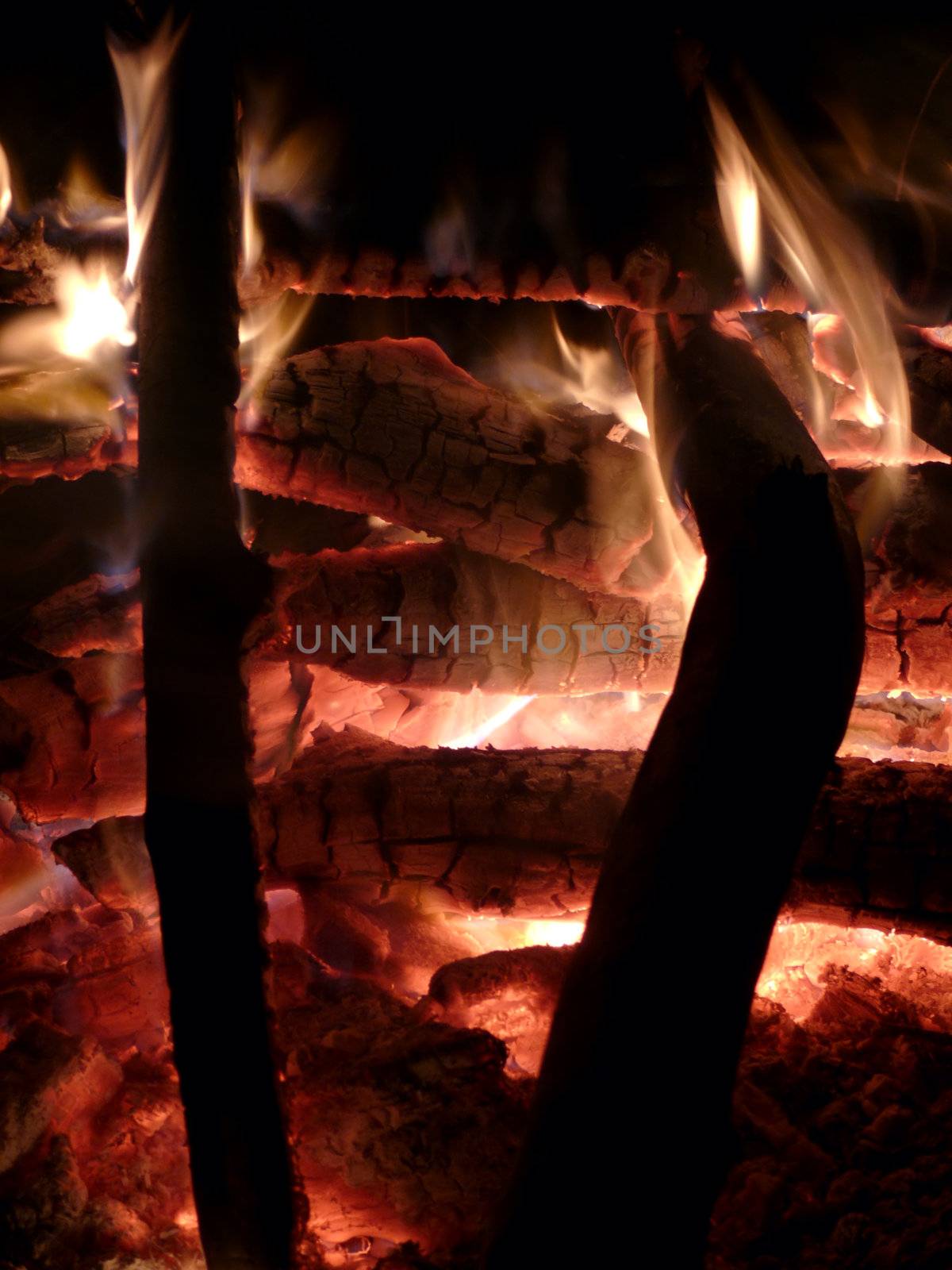 portrait of cozy camp fire outdoors in night-time