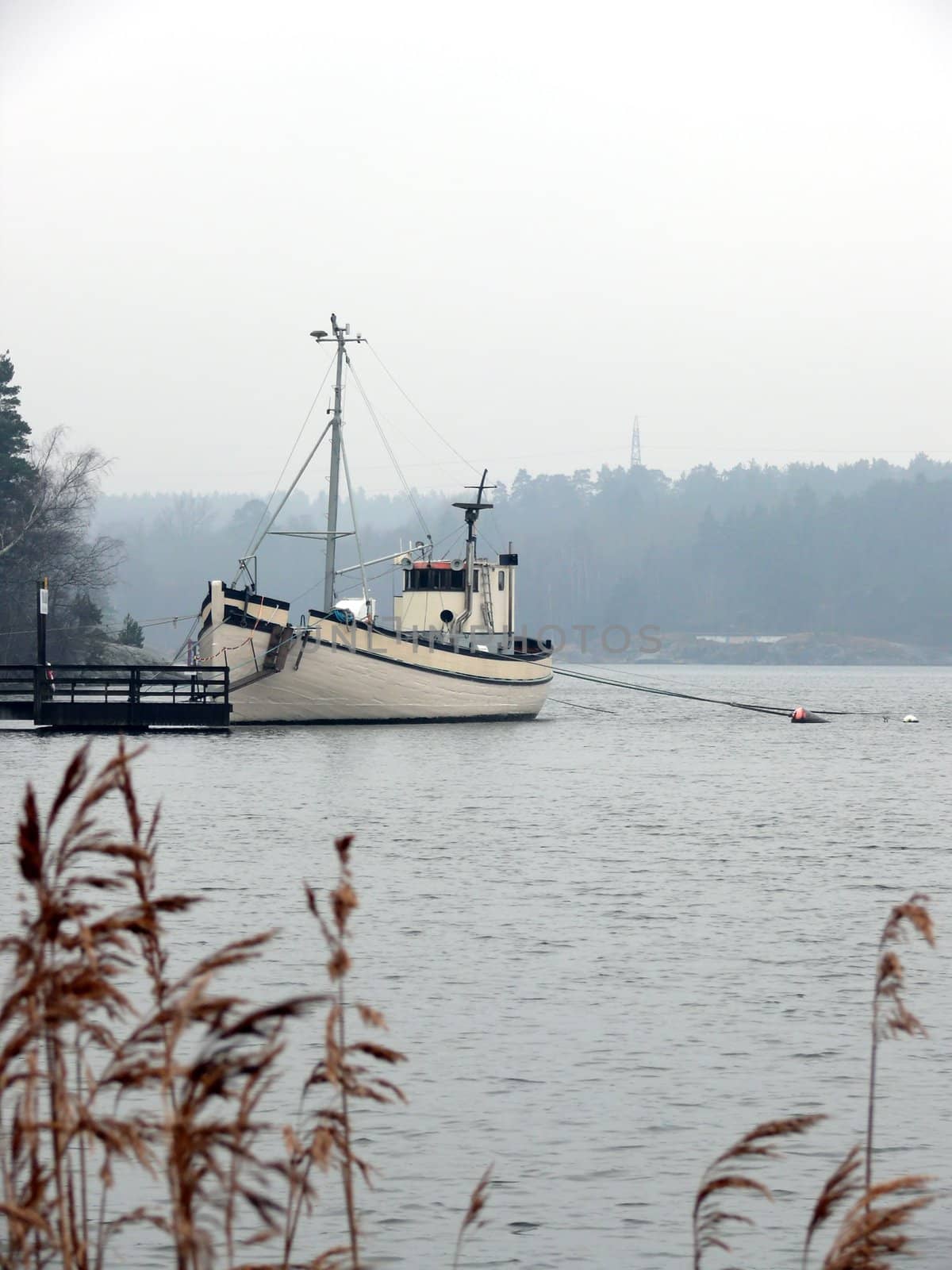 portrait of motor boat in harbour at dusky weather