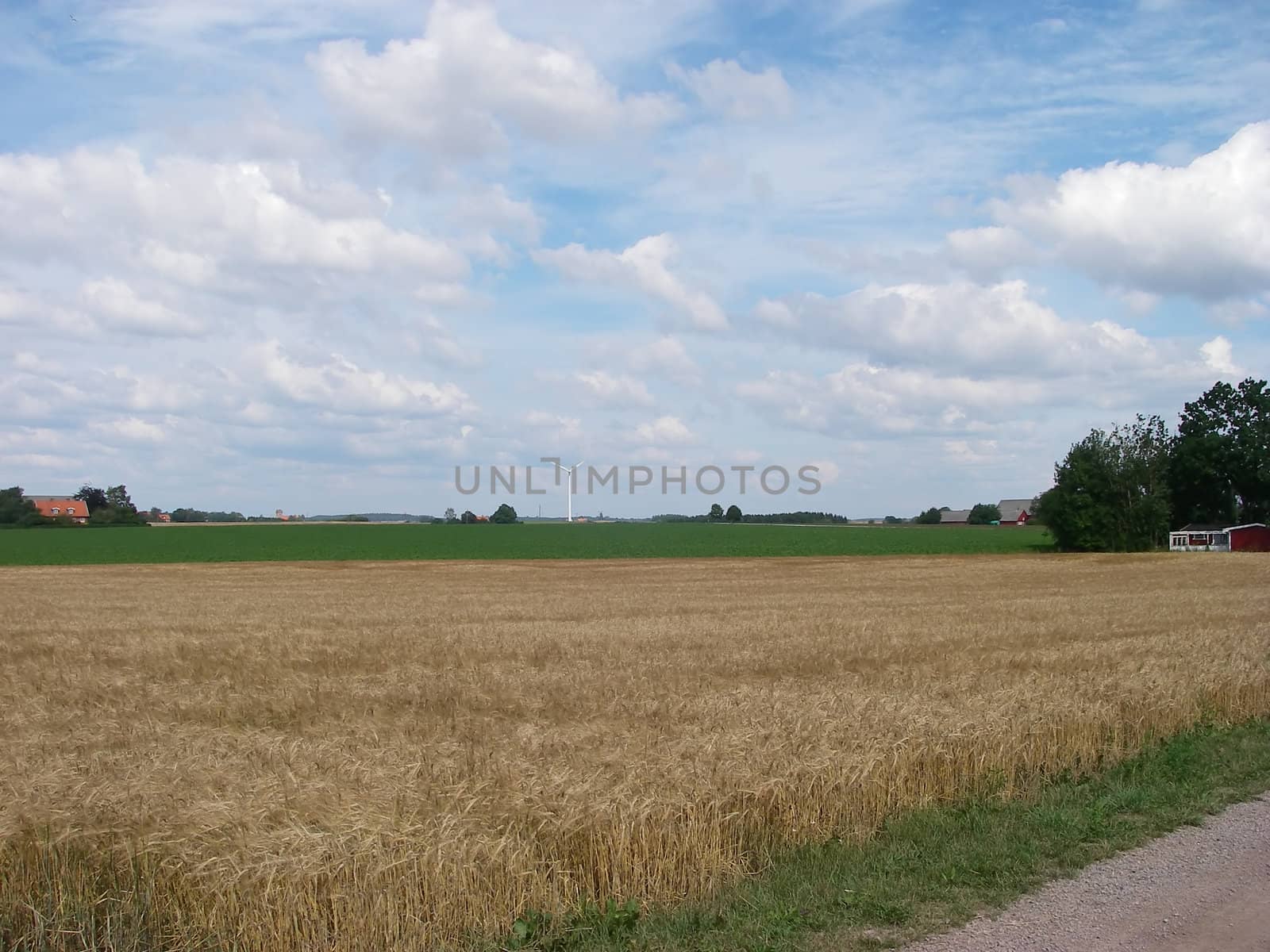 portrait of gravel road in the country
