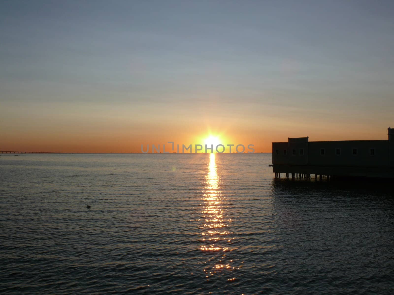 portrait of ocean landscape in sunset