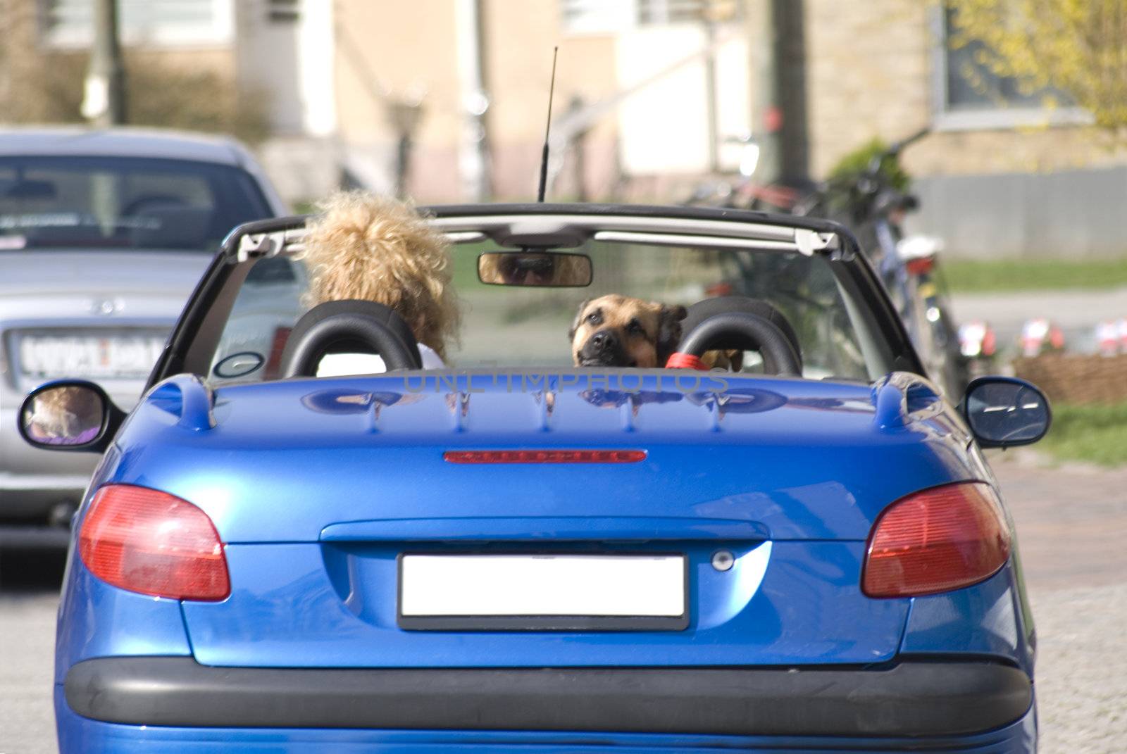 portrait of woman with her dog driving in car