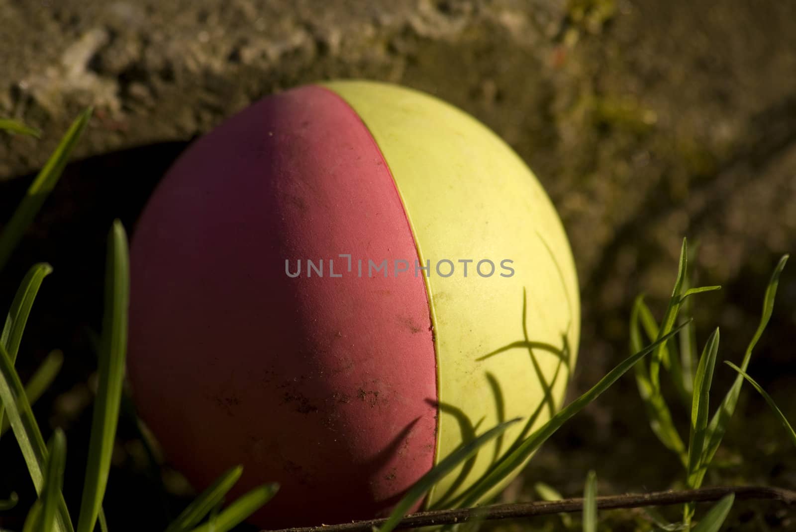 portrait of an hidden ball in sunlight shade