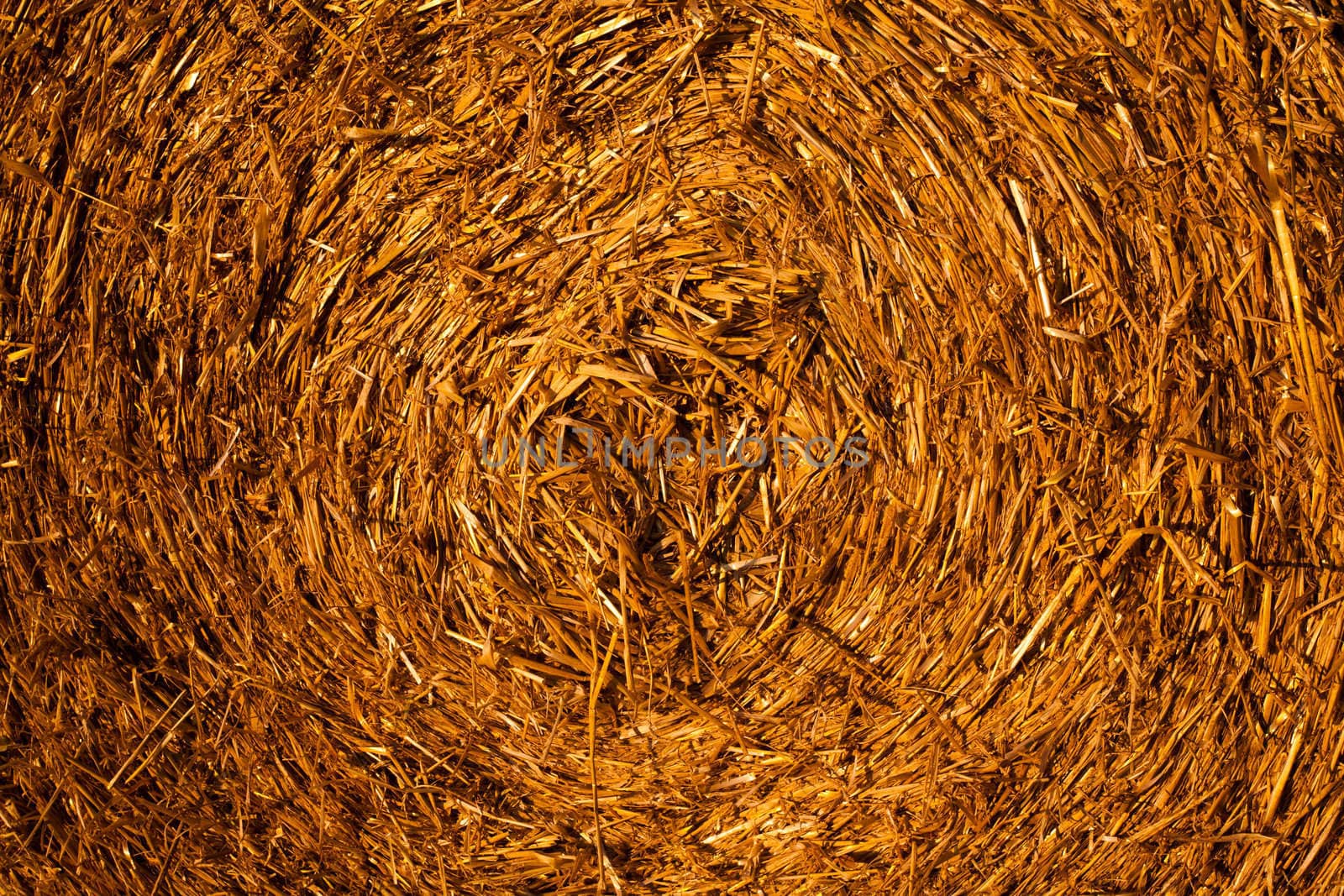 View of round wheat straw bale