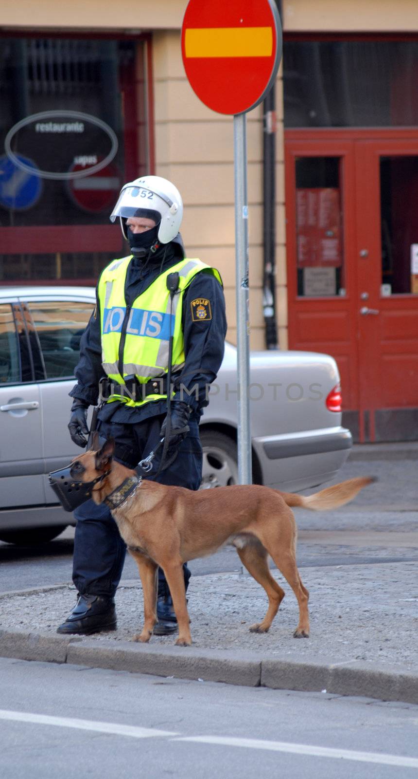 portrait of the swedish police officer and dog on alert