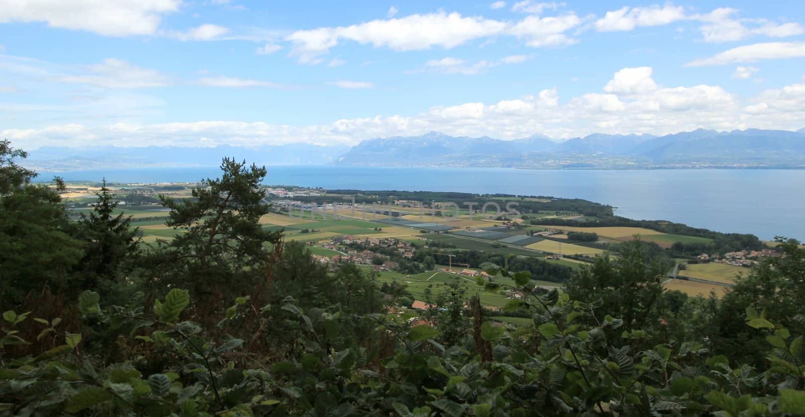 Panoramic view of Geneva Lake and landscape of Vaud canton by beautiful weather, Switzerland