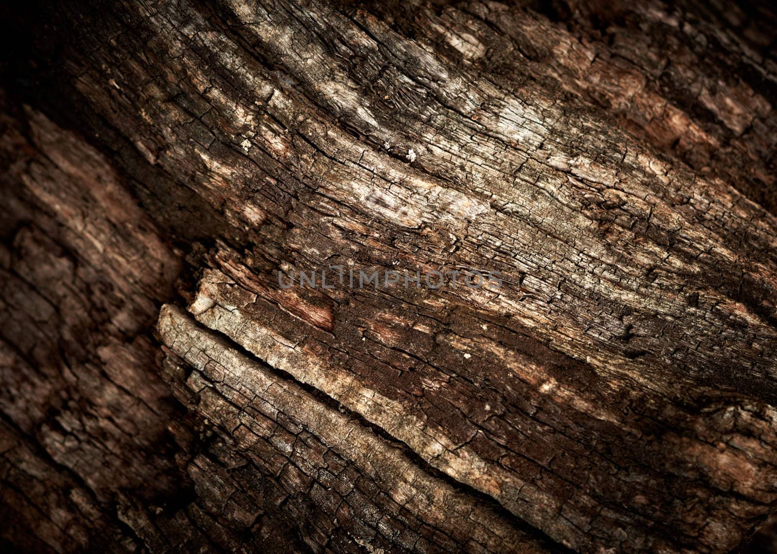 Old oak wood texture. by pashabo
