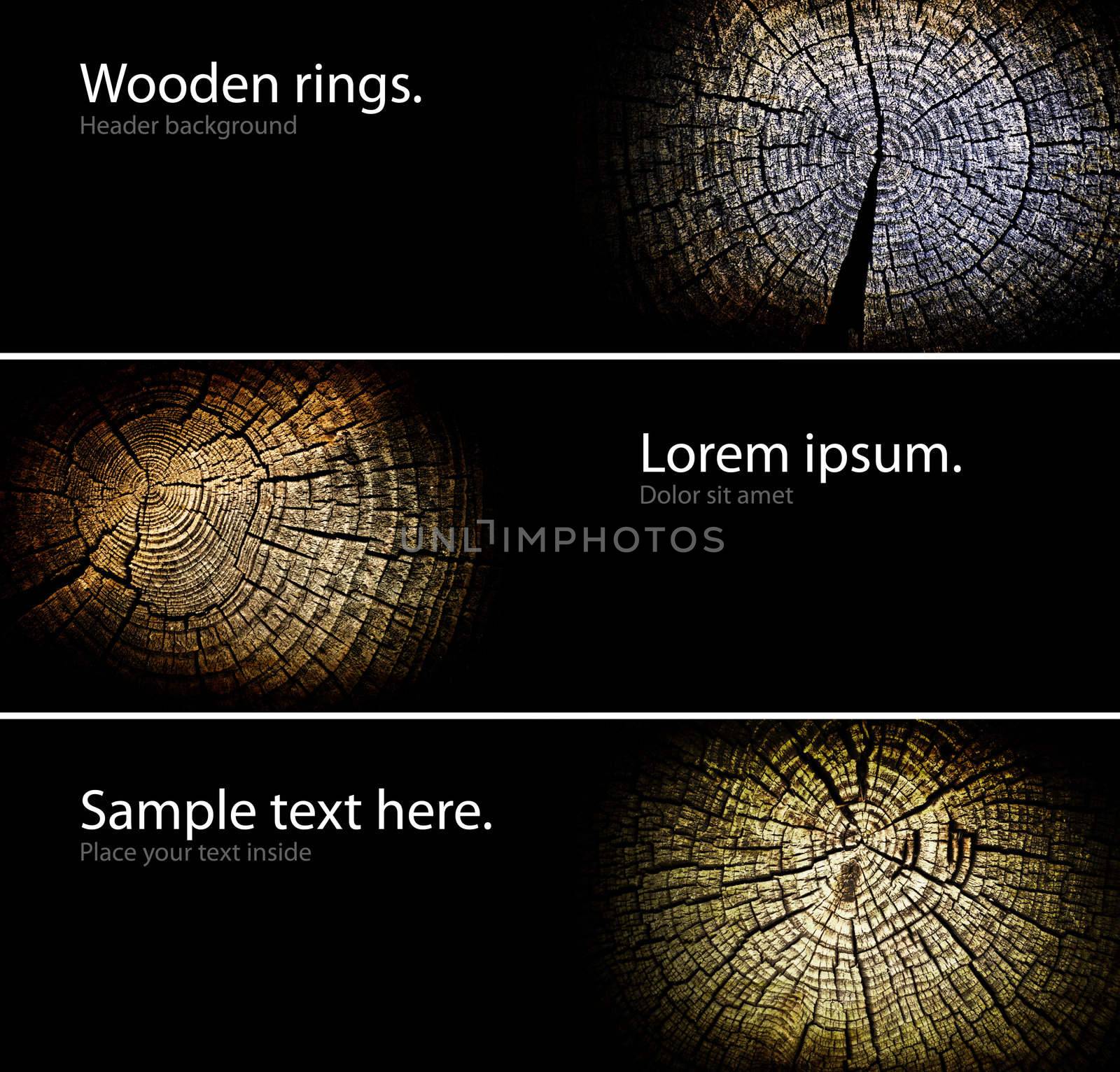 Wood rings. Internet headers set. Isolated on black with copy-space.