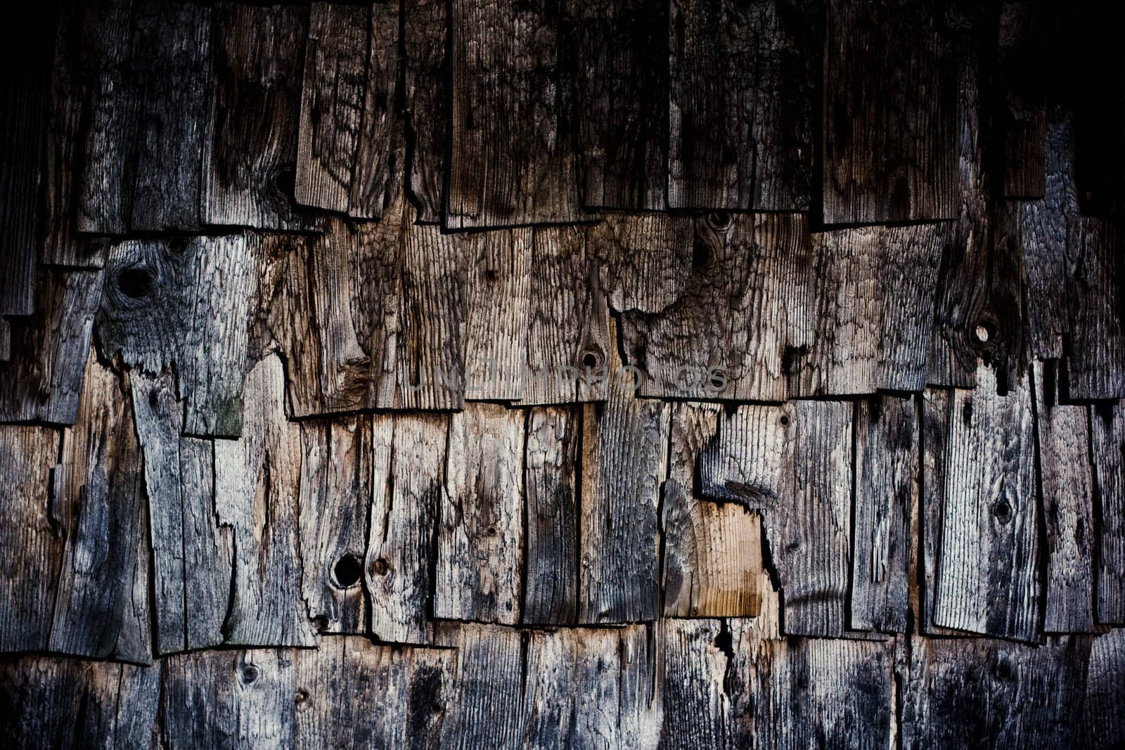 Old weathered wood shingles texture by pashabo