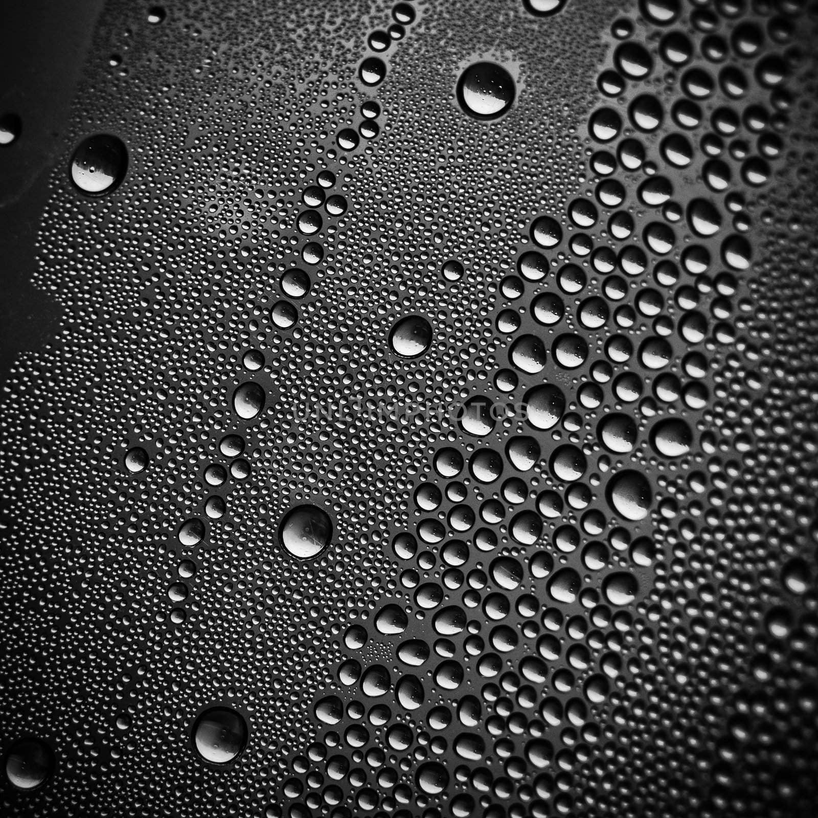 Water drops on black by pashabo