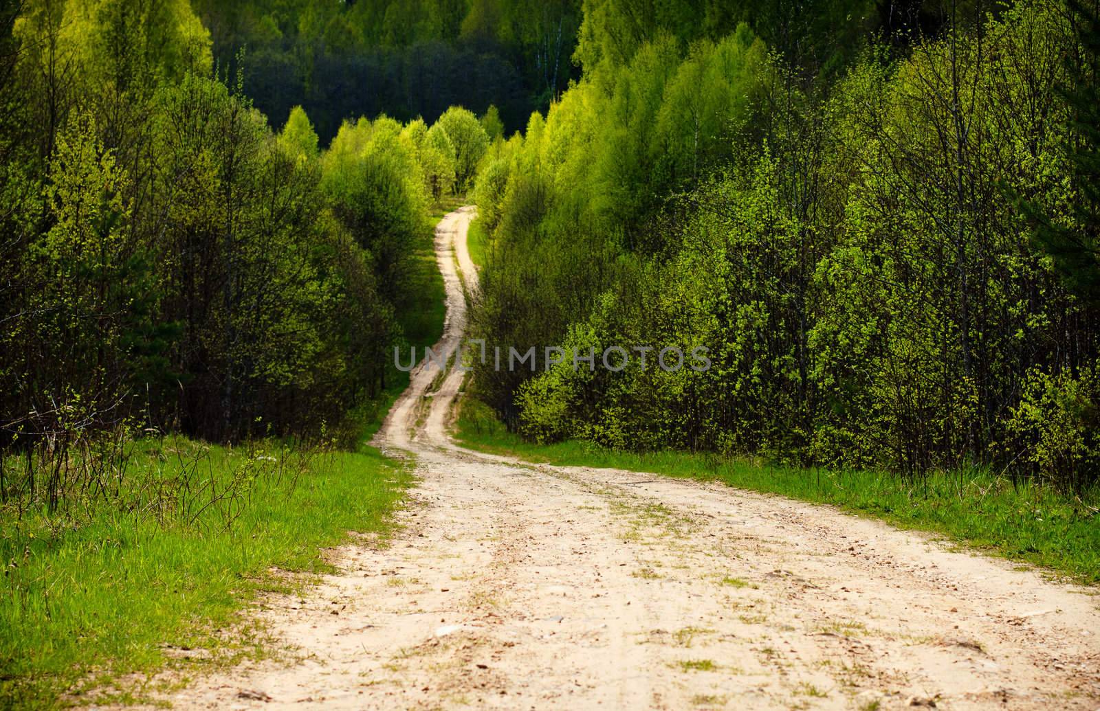 Rural road by pashabo