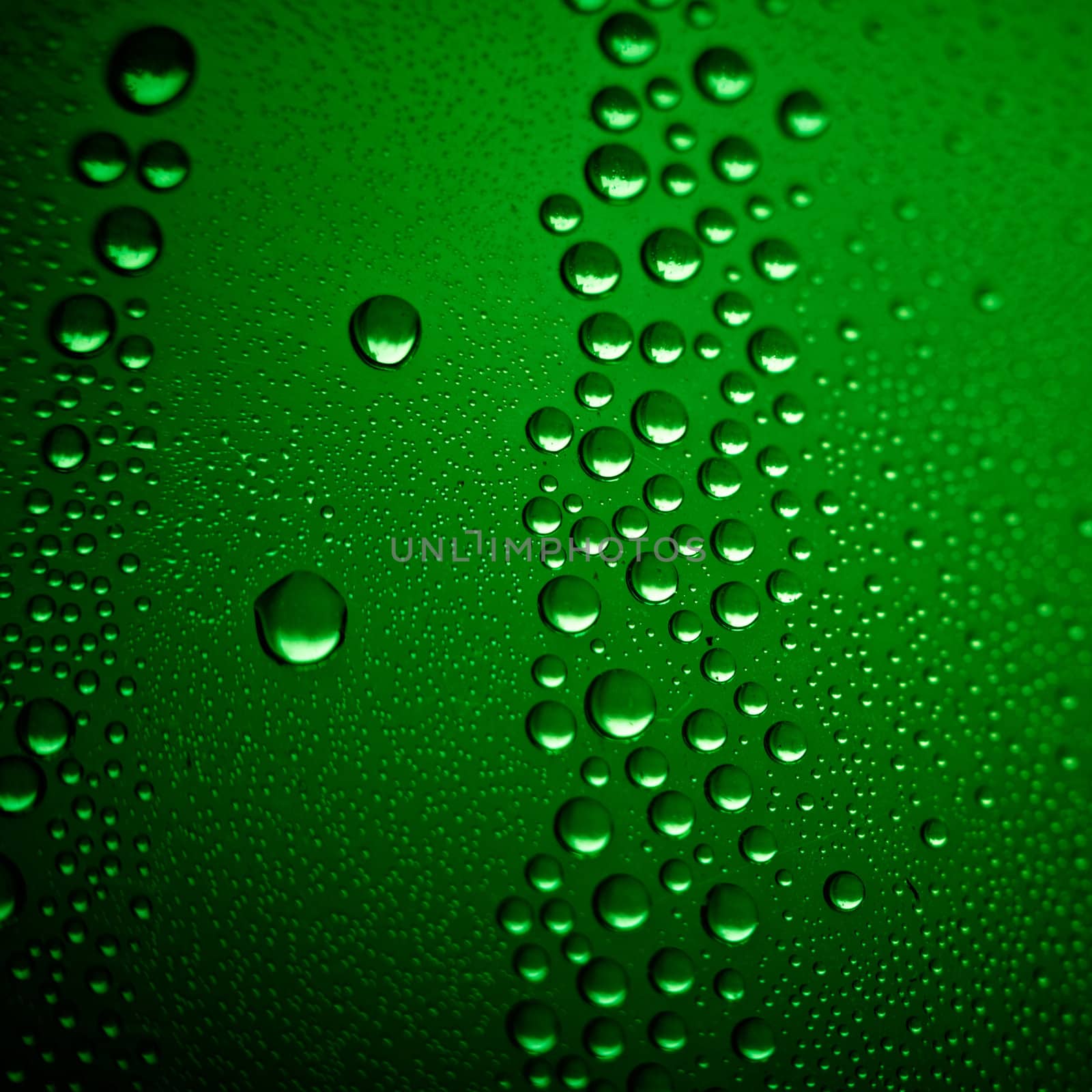 water bubbles on green by pashabo