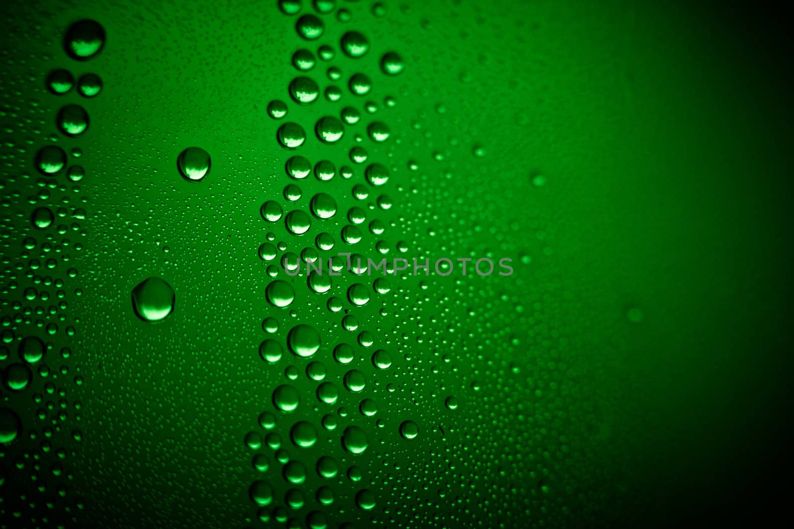 water-drops on green