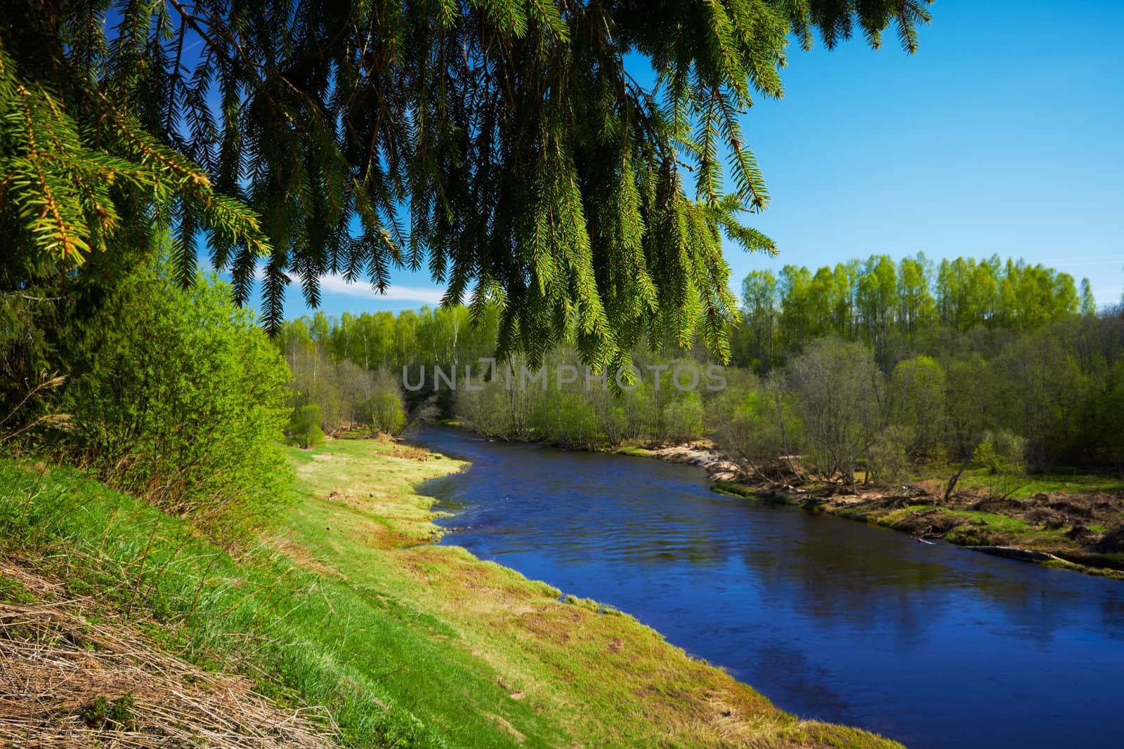 Blue river, at spring time. by pashabo
