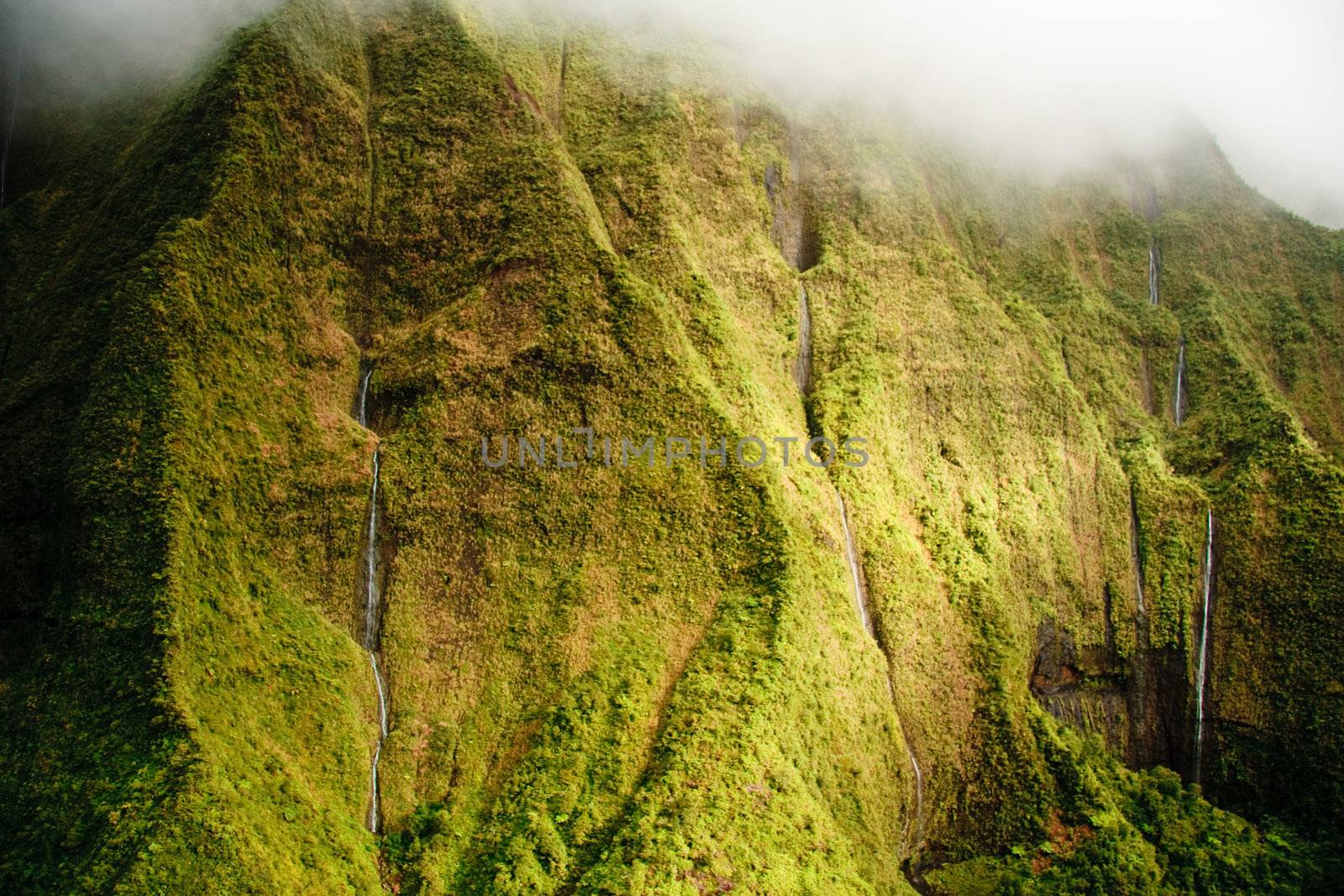 Close up view of the waterfalls streaming down the side of the wettest spot on earth