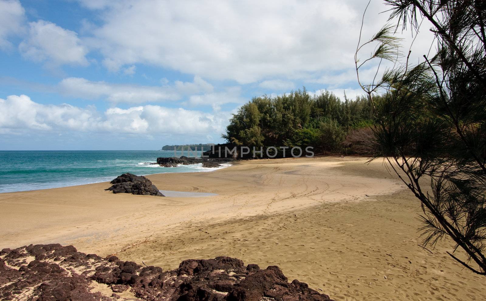 View of trees and rocks at the end of Lumaha'i beach in Kauai