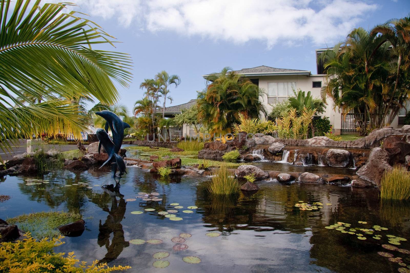 Vacation development in Kauai by steheap