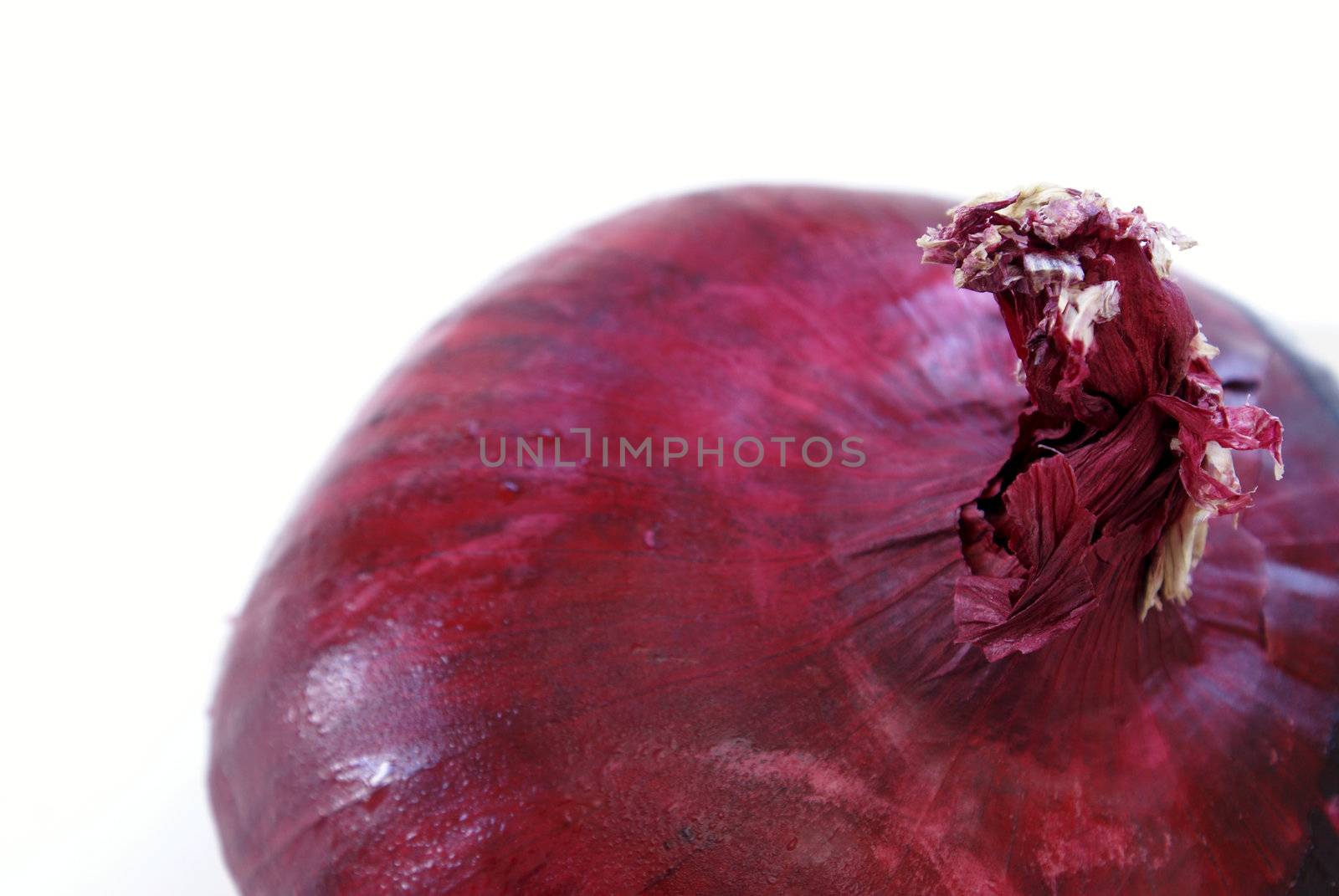 A macro shot of the top of a red onion.