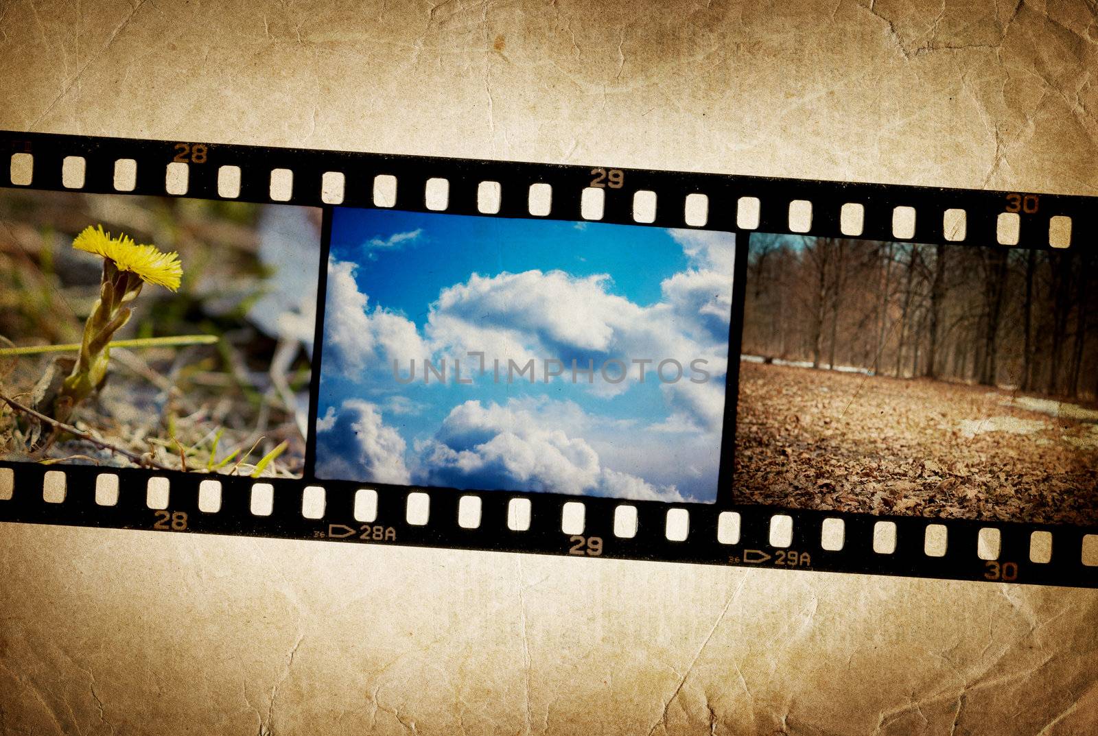 Nature photo with film strip on vintage background. by pashabo
