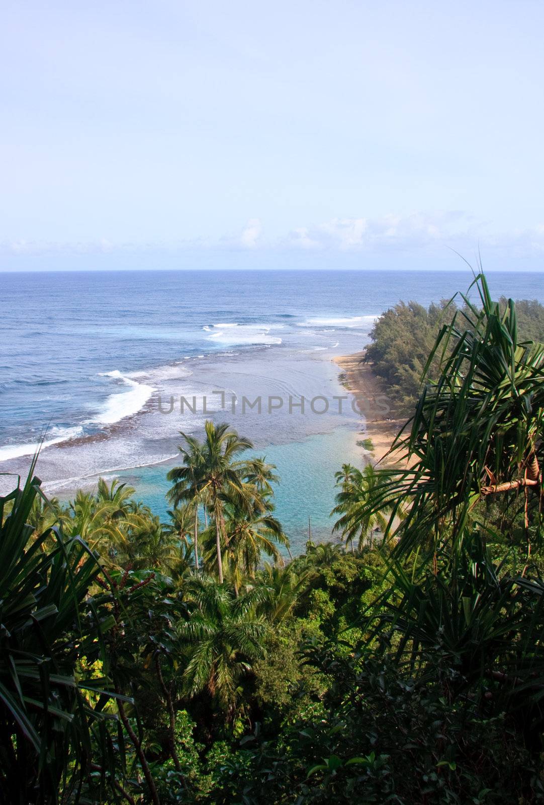 Ke'e beach surrounded by green trees, ferns and palm trees
