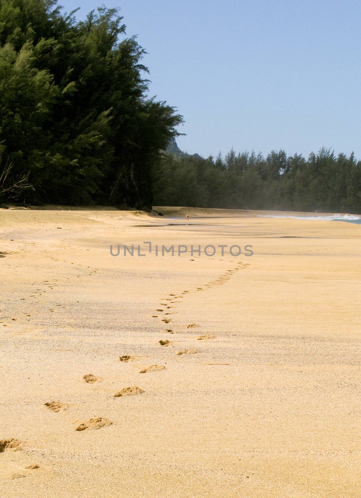 Footsteps on the pristine beach of Lumahai on the island of Kauai