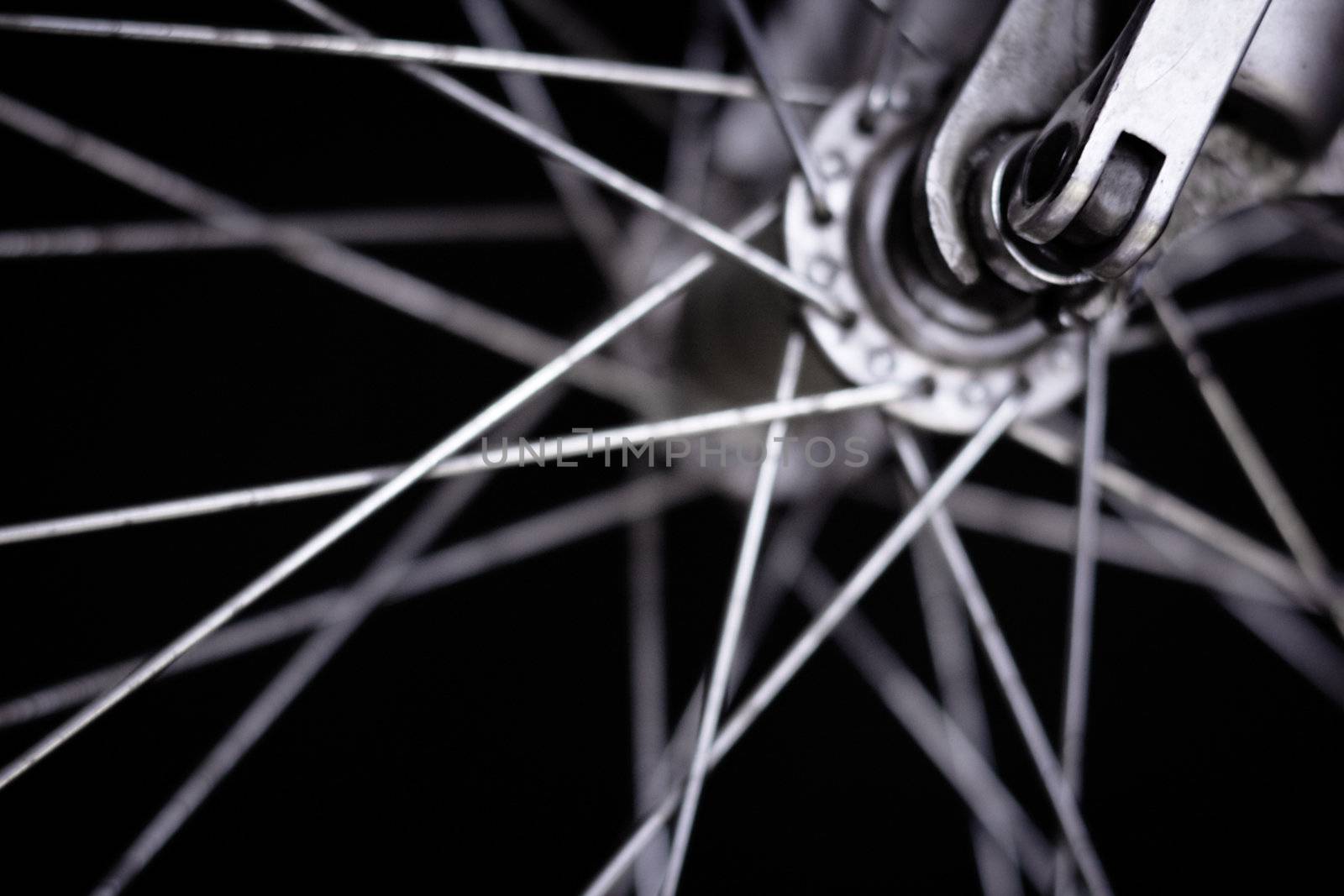Front wheel of a bicycle  by pashabo