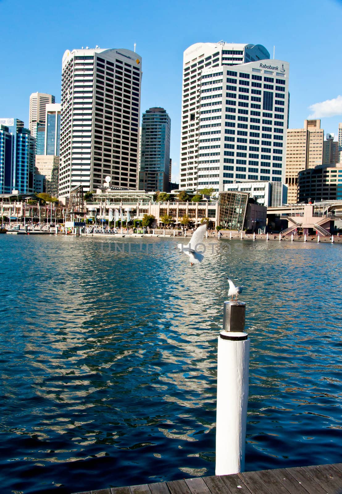 SYDNEY, AUSTRALIA  AUGUST 18: modern buildings and skyscrapers in downtown Sydney on August 18, 2010 in Sydney, Australia. Sydney and its skyline is famous travel place for all tourist in the entire world