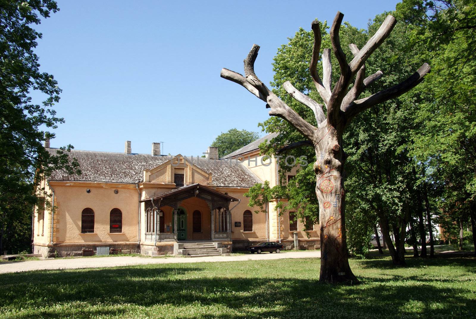 dead trees in the park against the backdrop of an old house