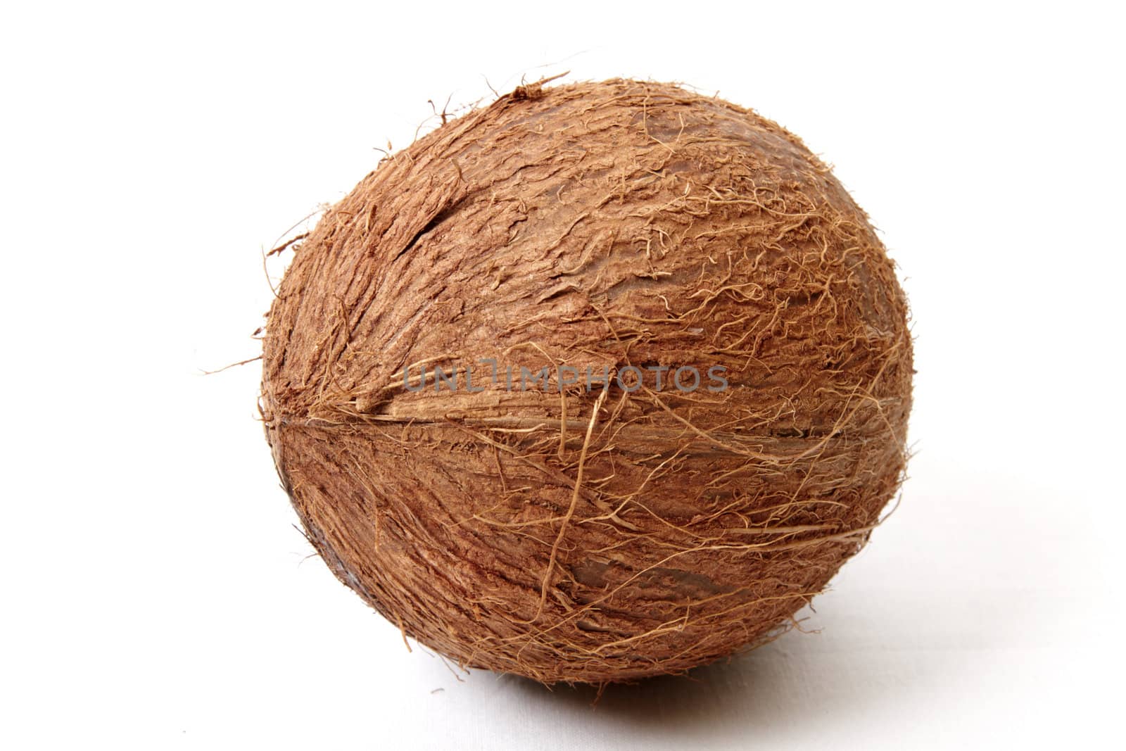 Coconut isolated by Nikonas