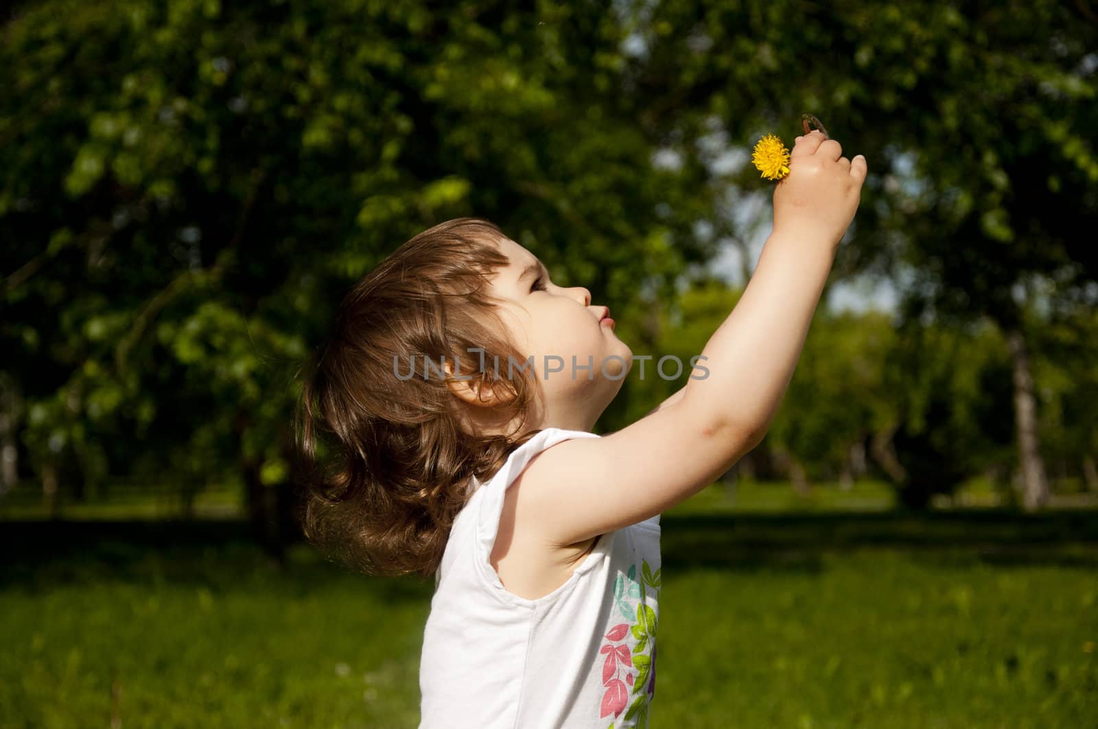 The girl looks at a dandelion in park