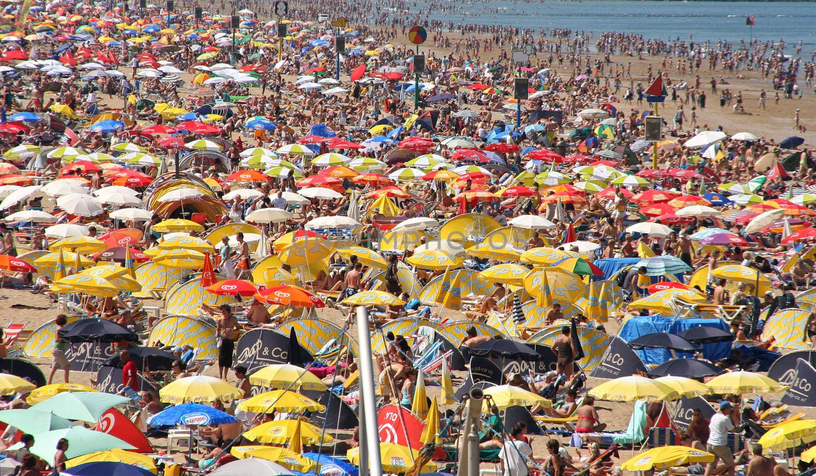 Crowded beach in summer in Scheveningen, Holland