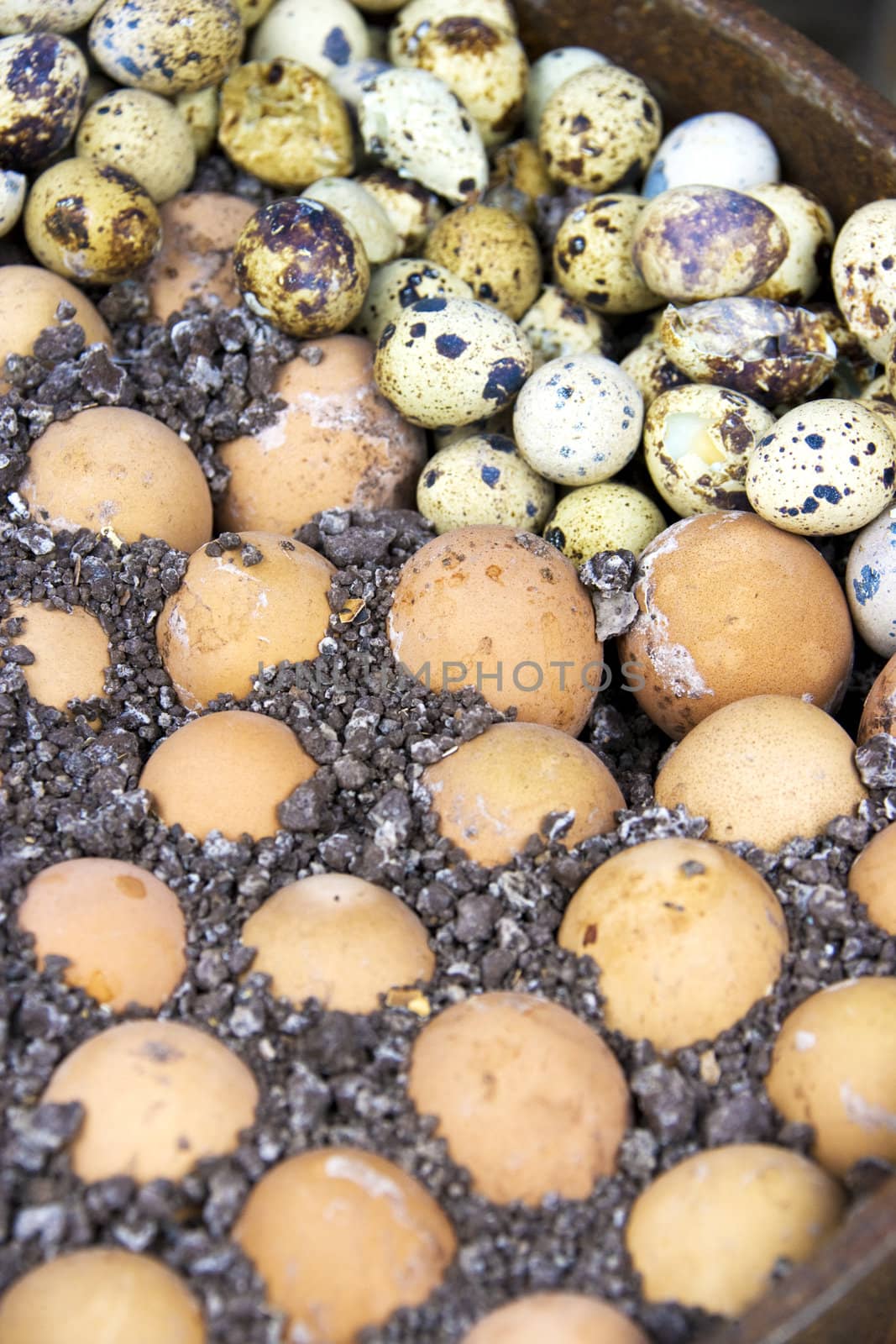 Image of chicken and quail's eggs being baked in salt crystals at Guilin, China..
