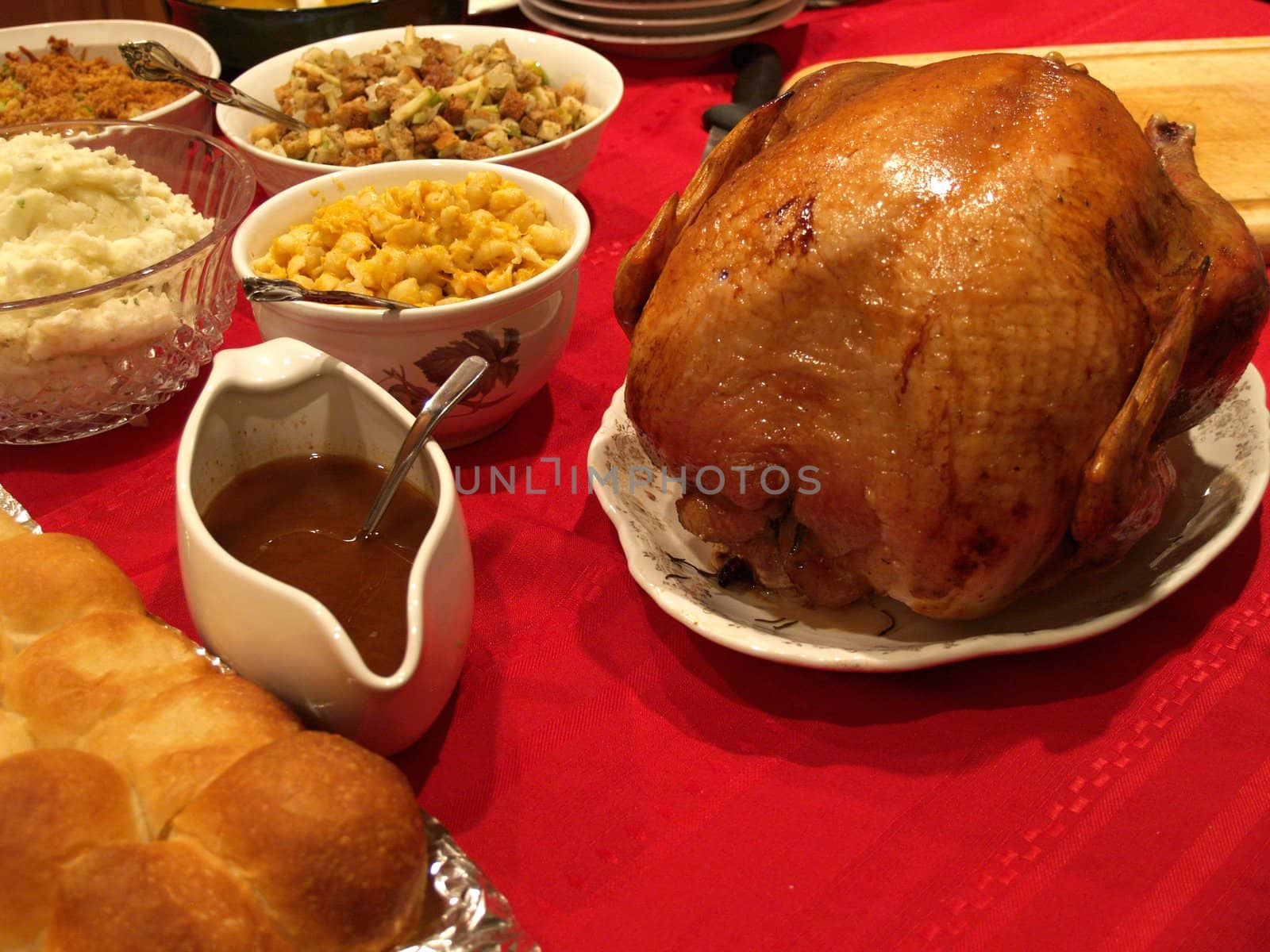 Thanksgiving turkey by chaosmediamgt